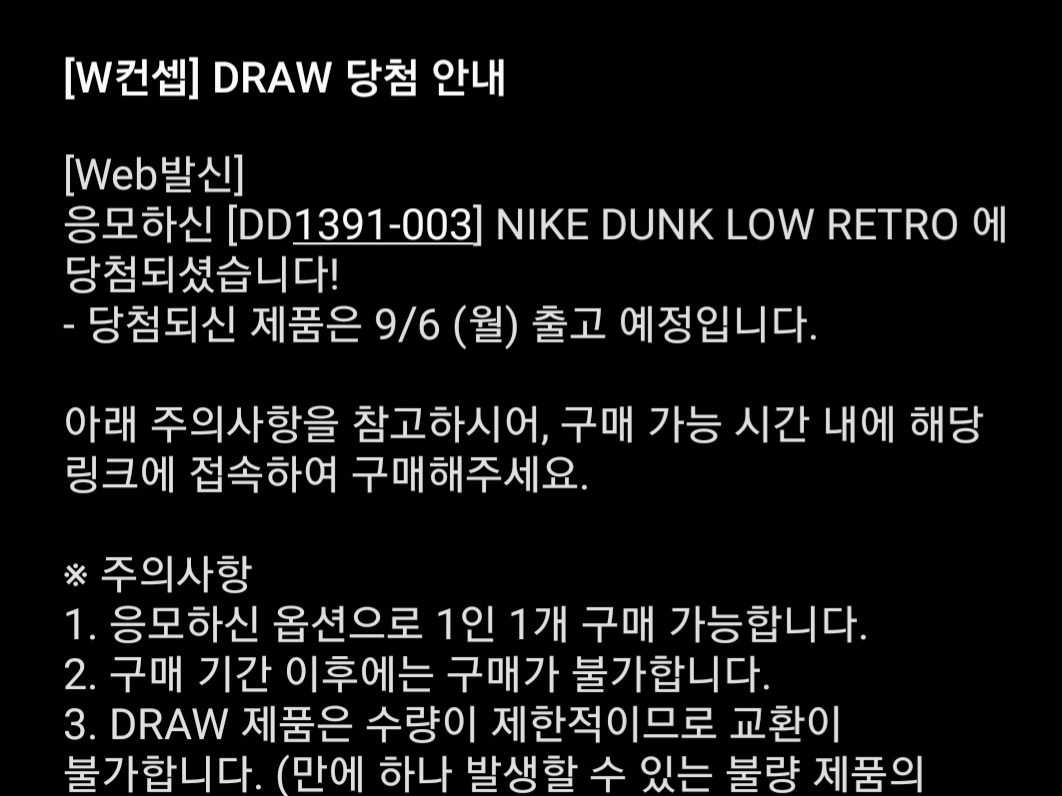 Nike Dunk Low Retro Championship Grey 착용 스타일