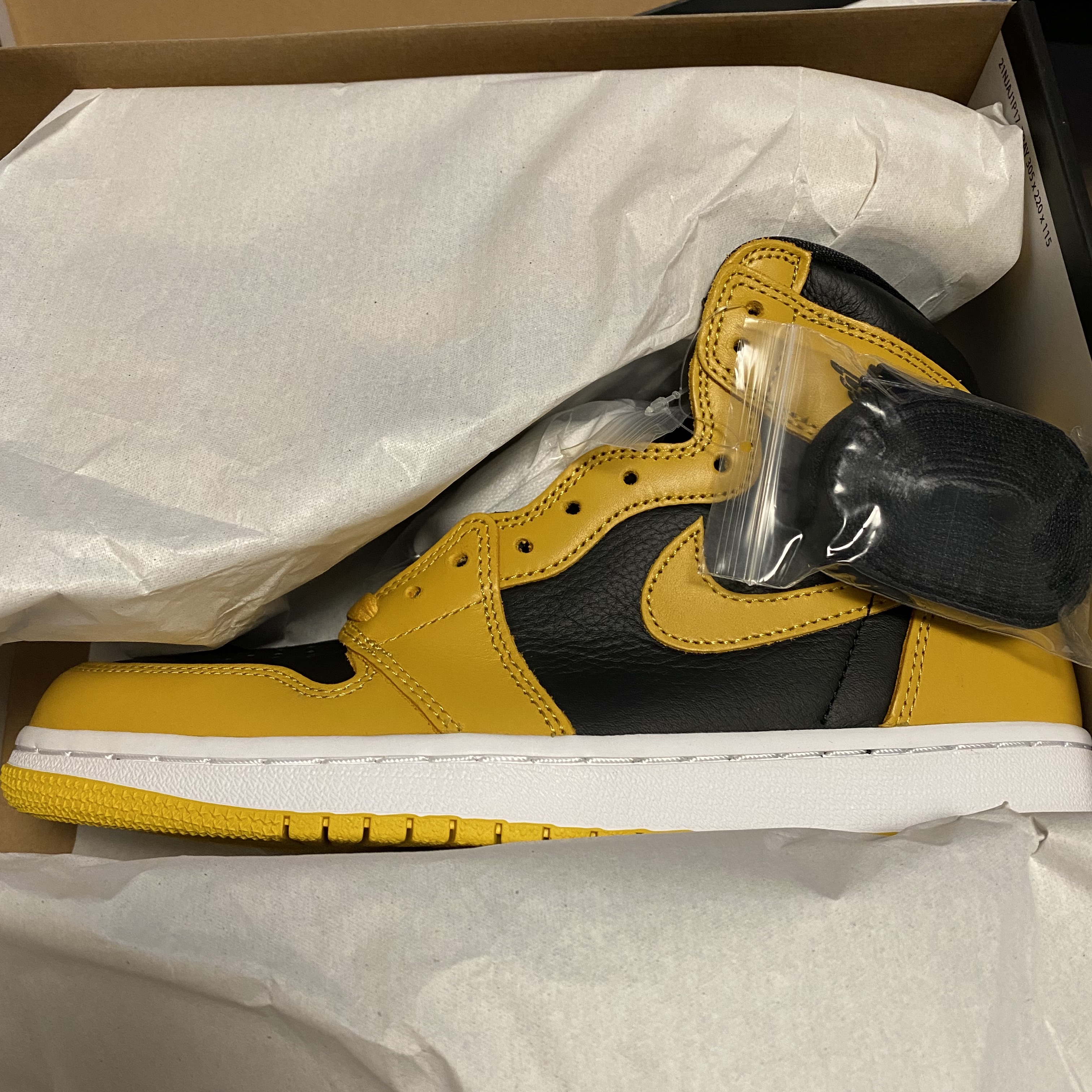 Jordan 1 Retro High OG Pollen 착용 스타일