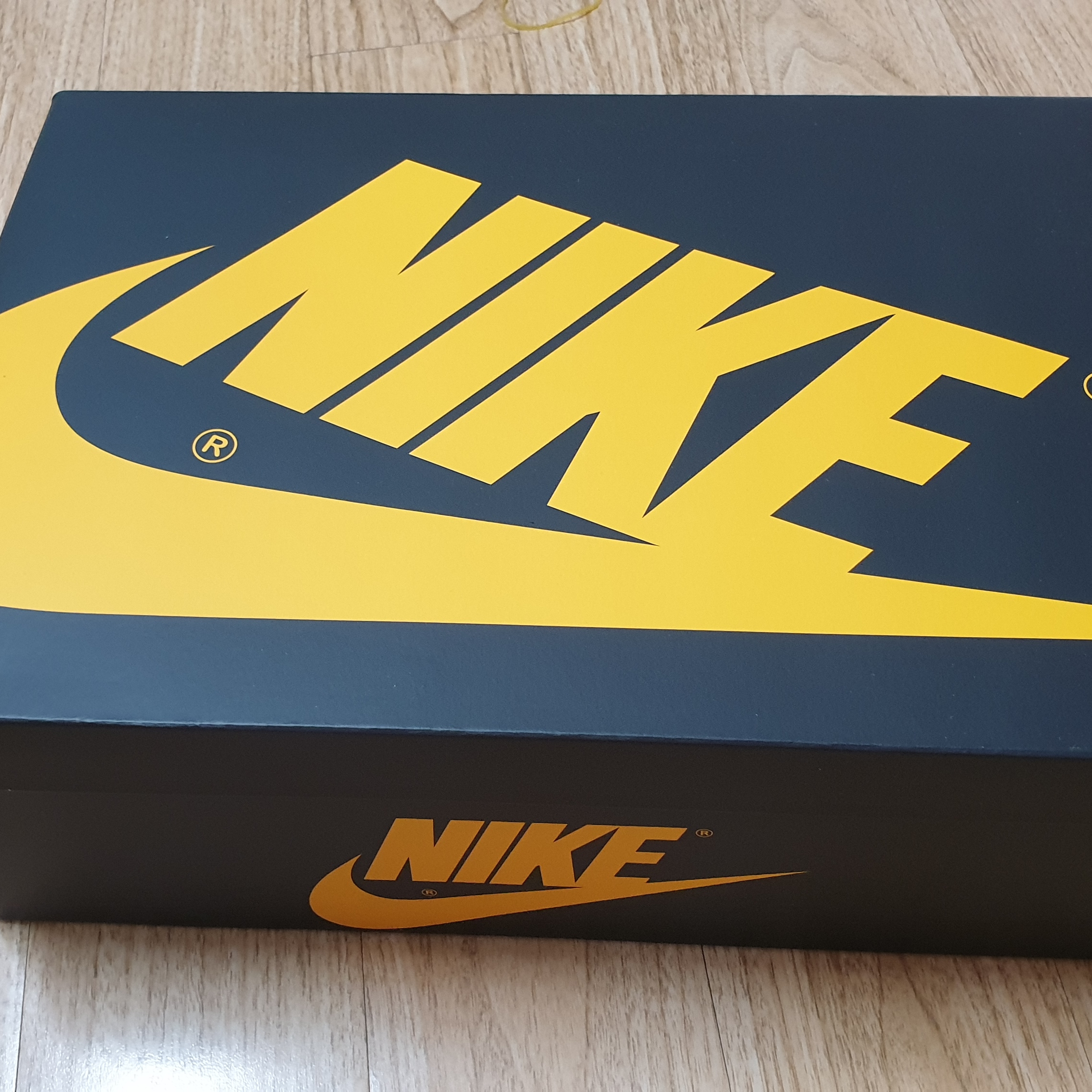 Jordan 1 Retro High OG Pollen 착용 스타일 - 1