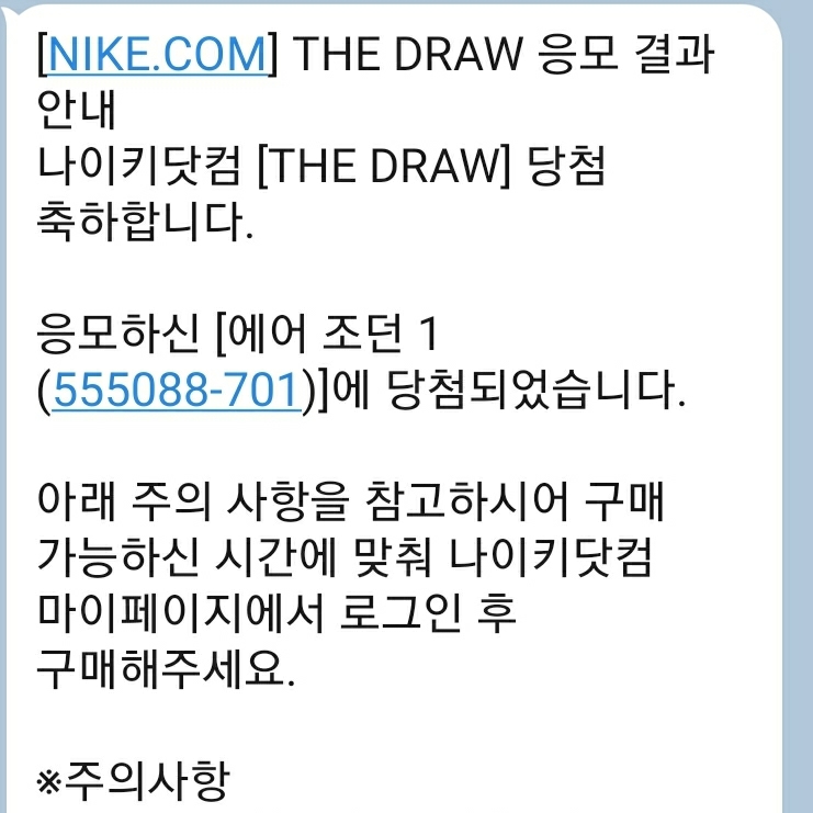 Jordan 1 Retro High OG Pollen 착용 스타일 - 5