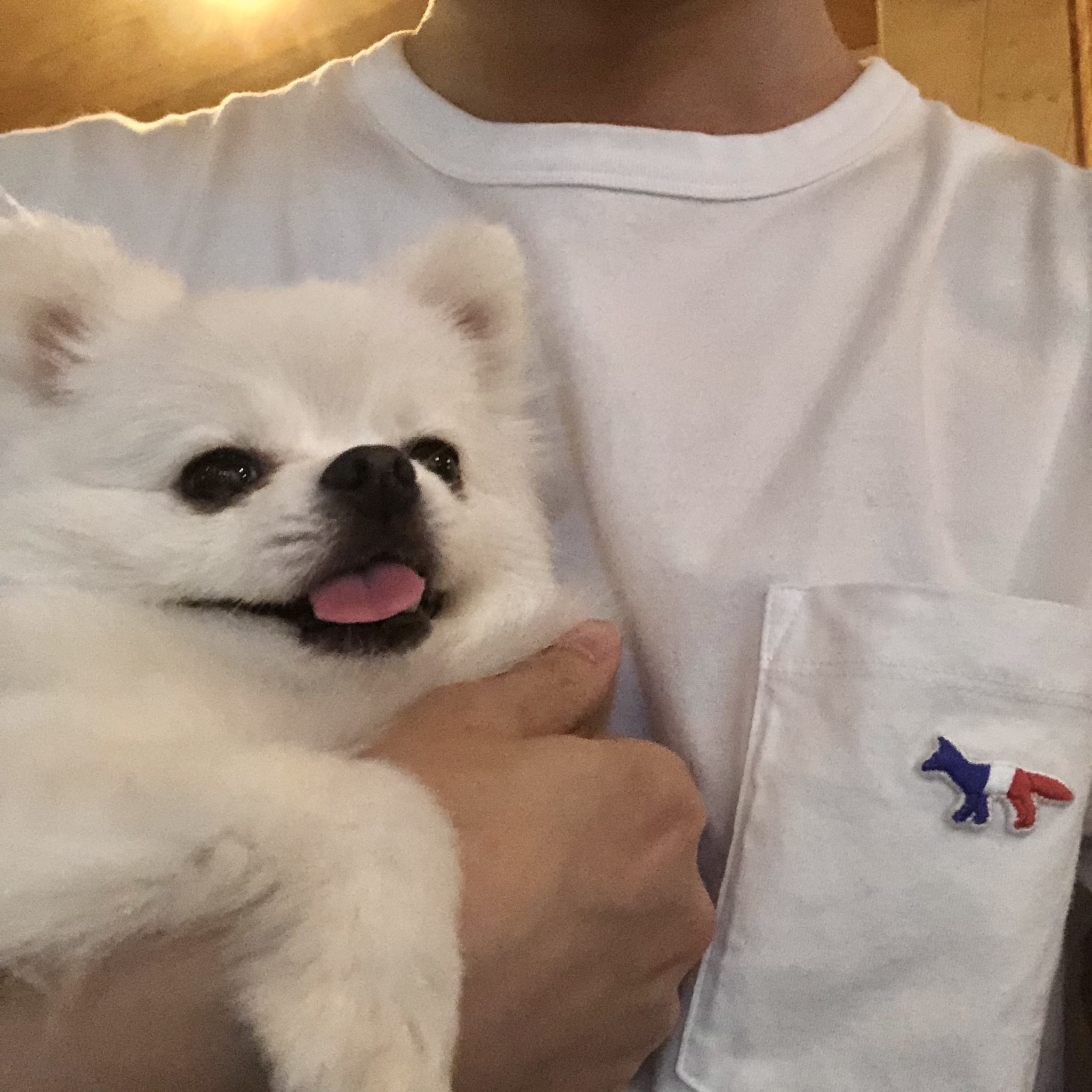 Maison Kitsune Tricolor Fox Patch Classic Pocket T-Shirt White 착용 스타일