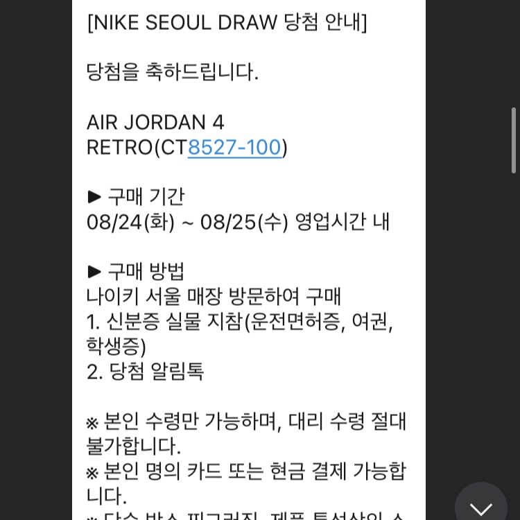 Jordan 4 Retro Tech White 착용 스타일 - 3