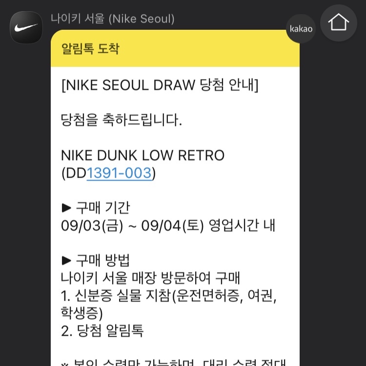Nike Dunk Low Retro Championship Grey 착용 스타일 - 3
