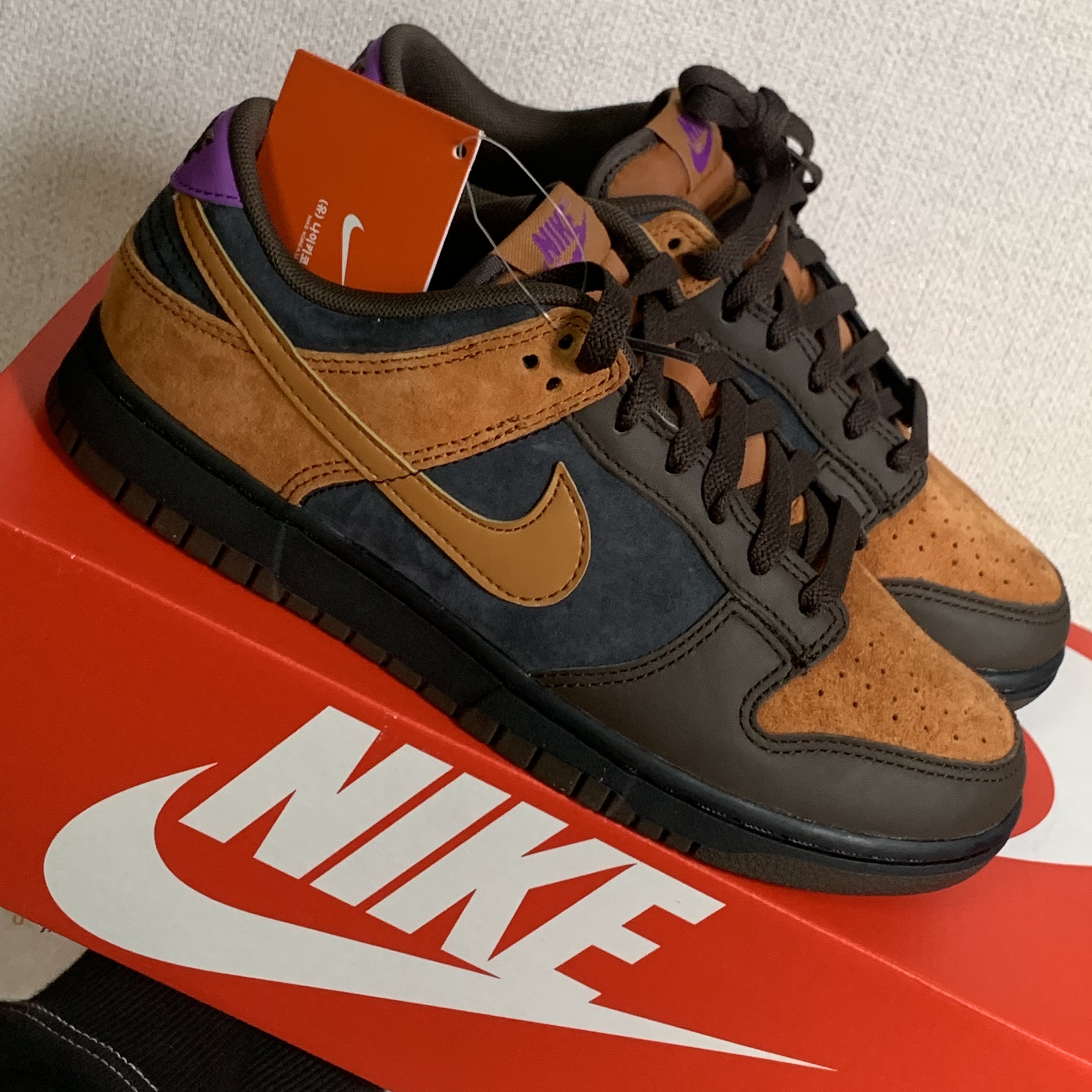 Nike Dunk Low Retro PRM Cider 착용 스타일