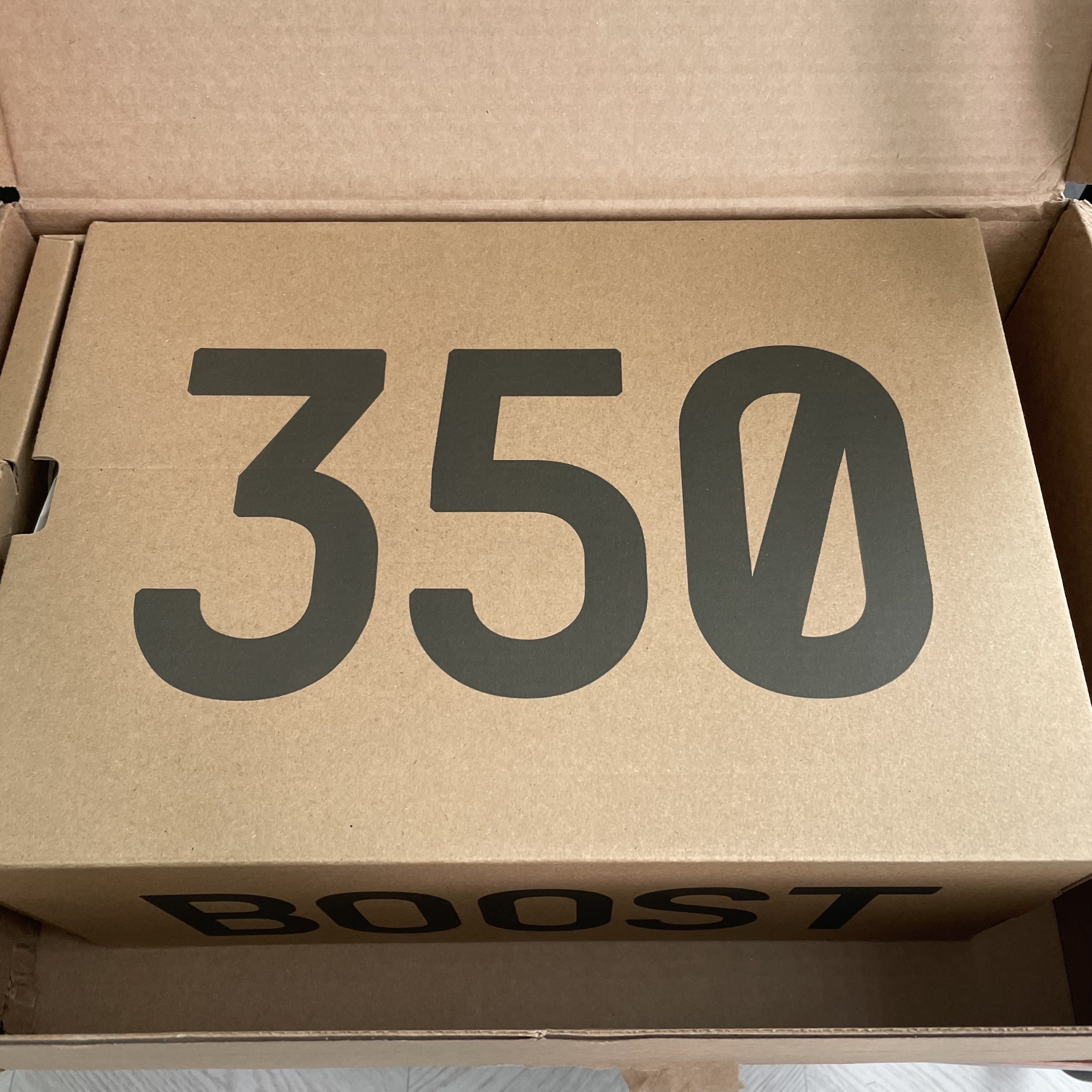 Adidas Yeezy Boost 350 V2 Light 착용 스타일 - 3