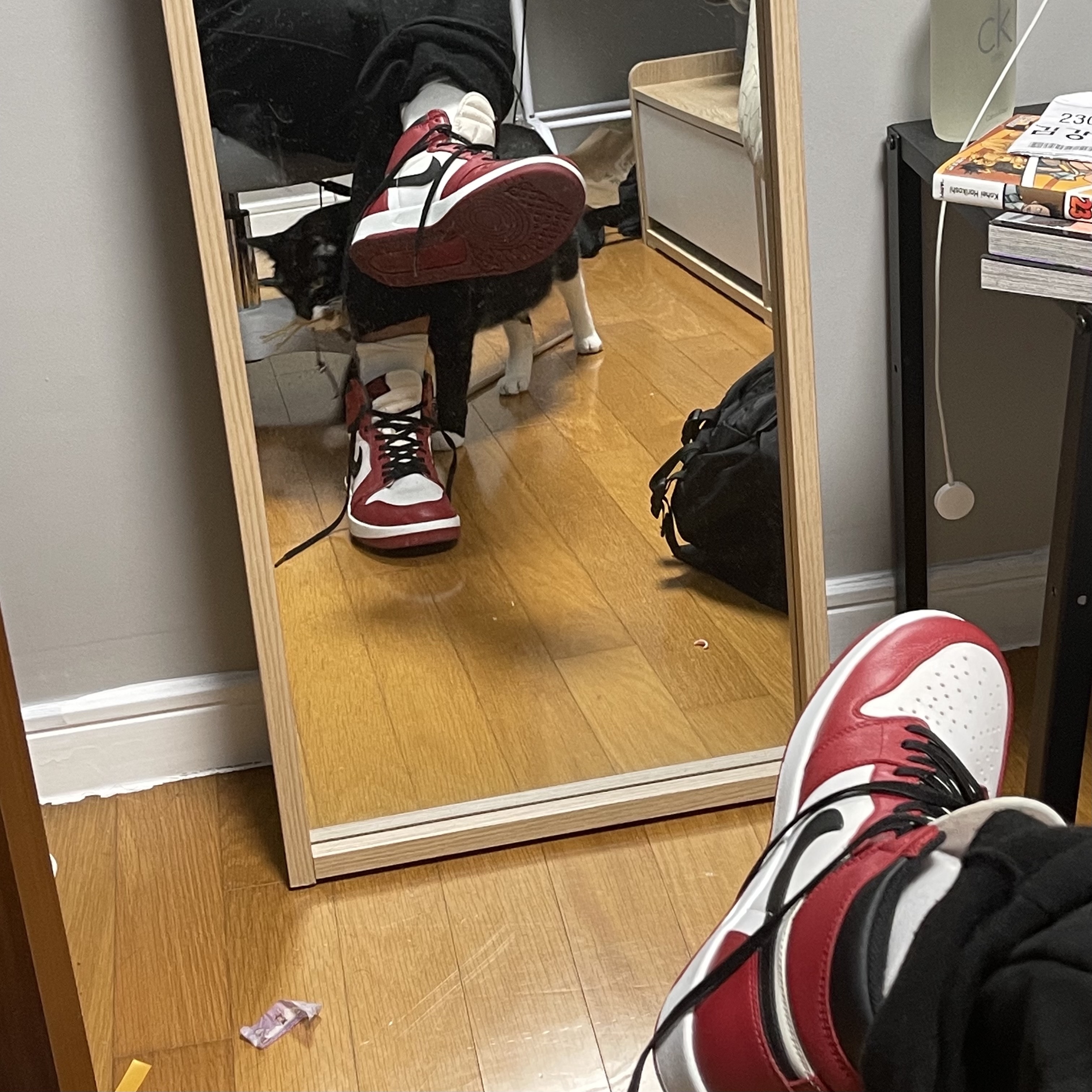 Jordan 1.5 Retro Chicago 2015 착용 스타일
