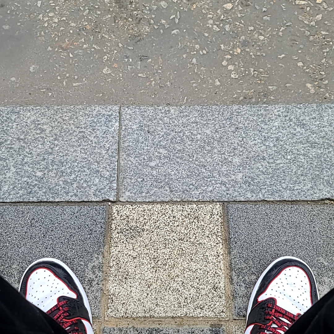 Jordan 1 Retro High OG Bloodline 착용 스타일