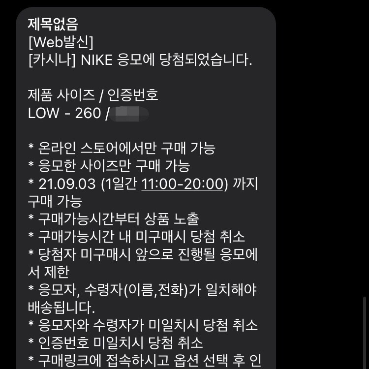 Nike Dunk Low Retro Championship Grey 착용 스타일 - 2
