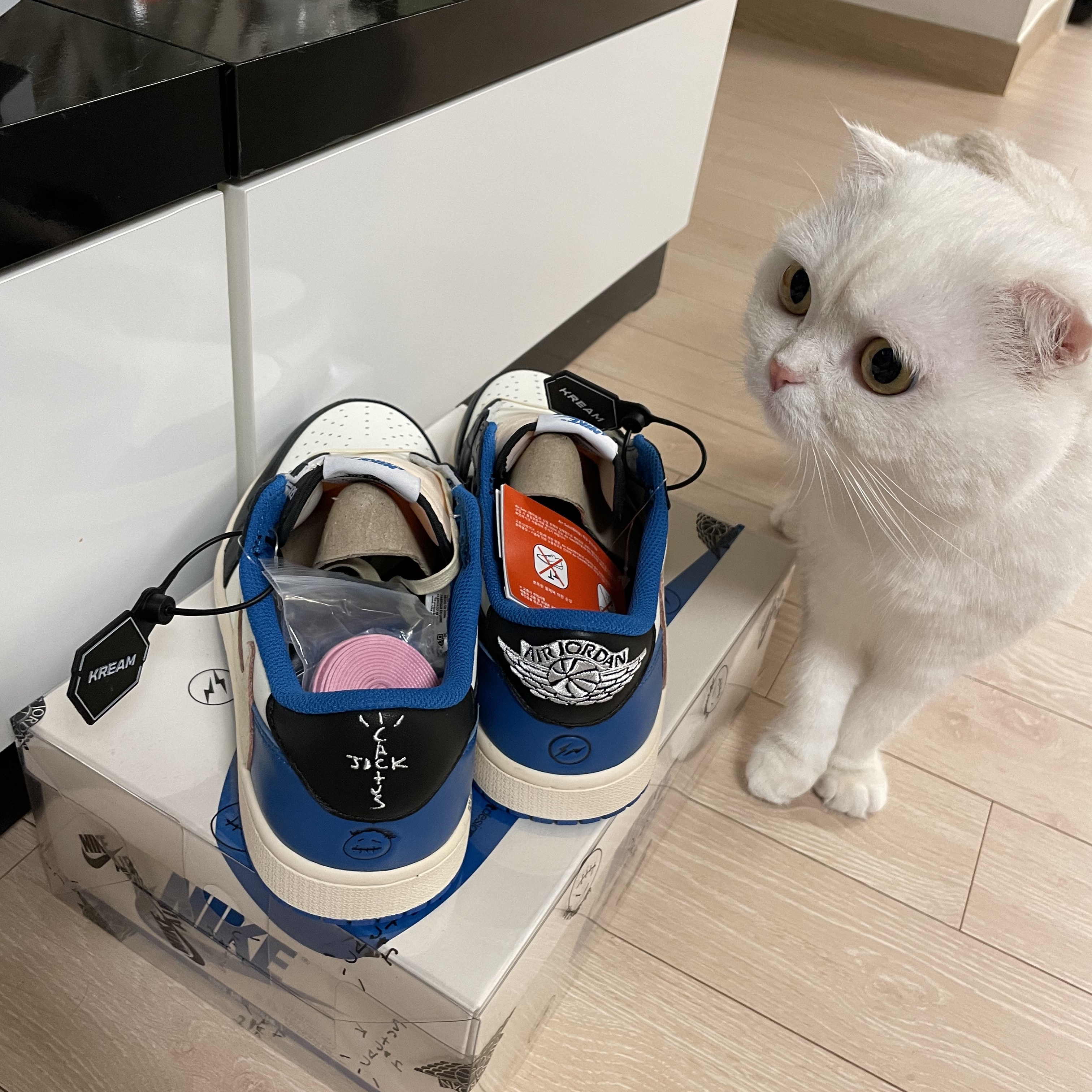 Jordan 1 x Travis Scott x Fragment Retro Low OG SP Military Blue 착용 스타일 - 1