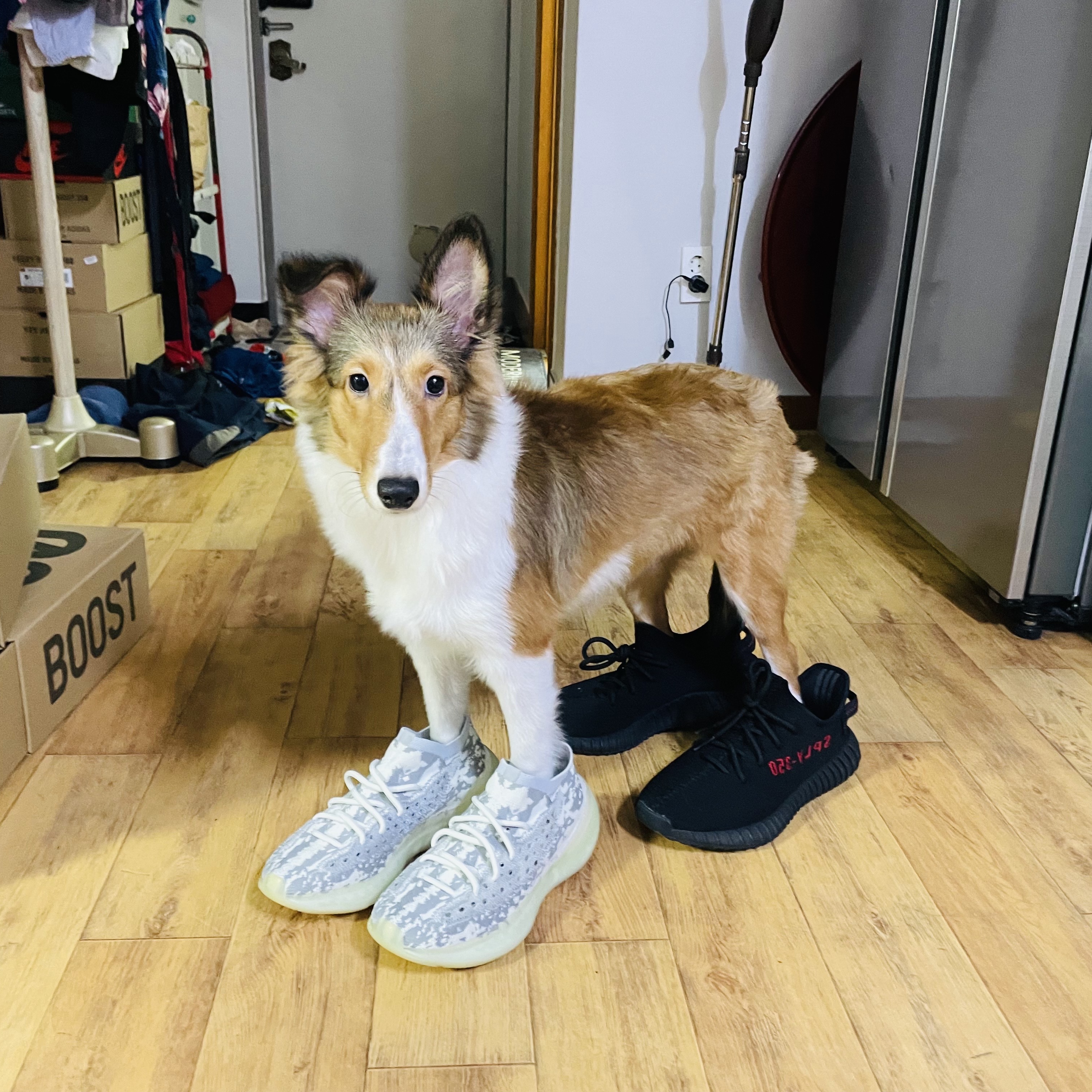 Adidas Yeezy Boost 700 V2 Geode, Adidas Yeezy 500 Salt 착용 스타일 - 2