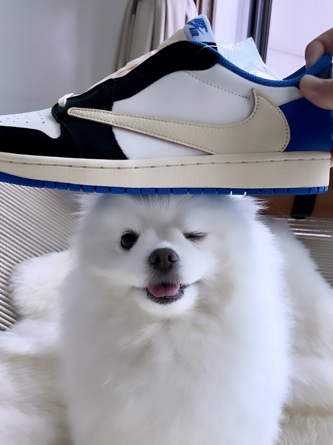 Jordan 1 x Travis Scott x Fragment Retro Low OG SP Military Blue 착용 스타일 - 1