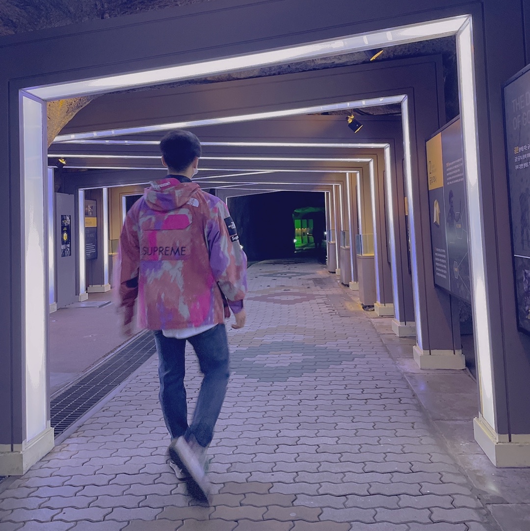 Supreme x The North Face Cargo Jacket Multi-Color - 20SS 착용 스타일