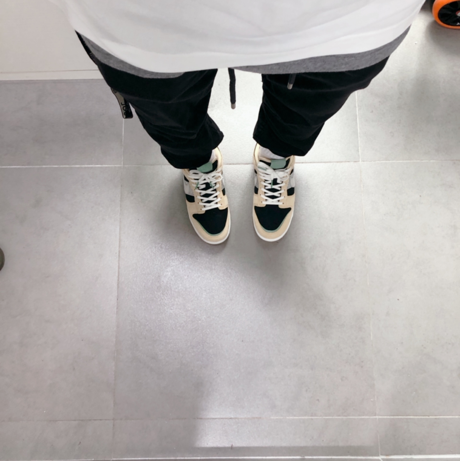 Nike Dunk Low Rooted In Peace 착용 스타일 - 4