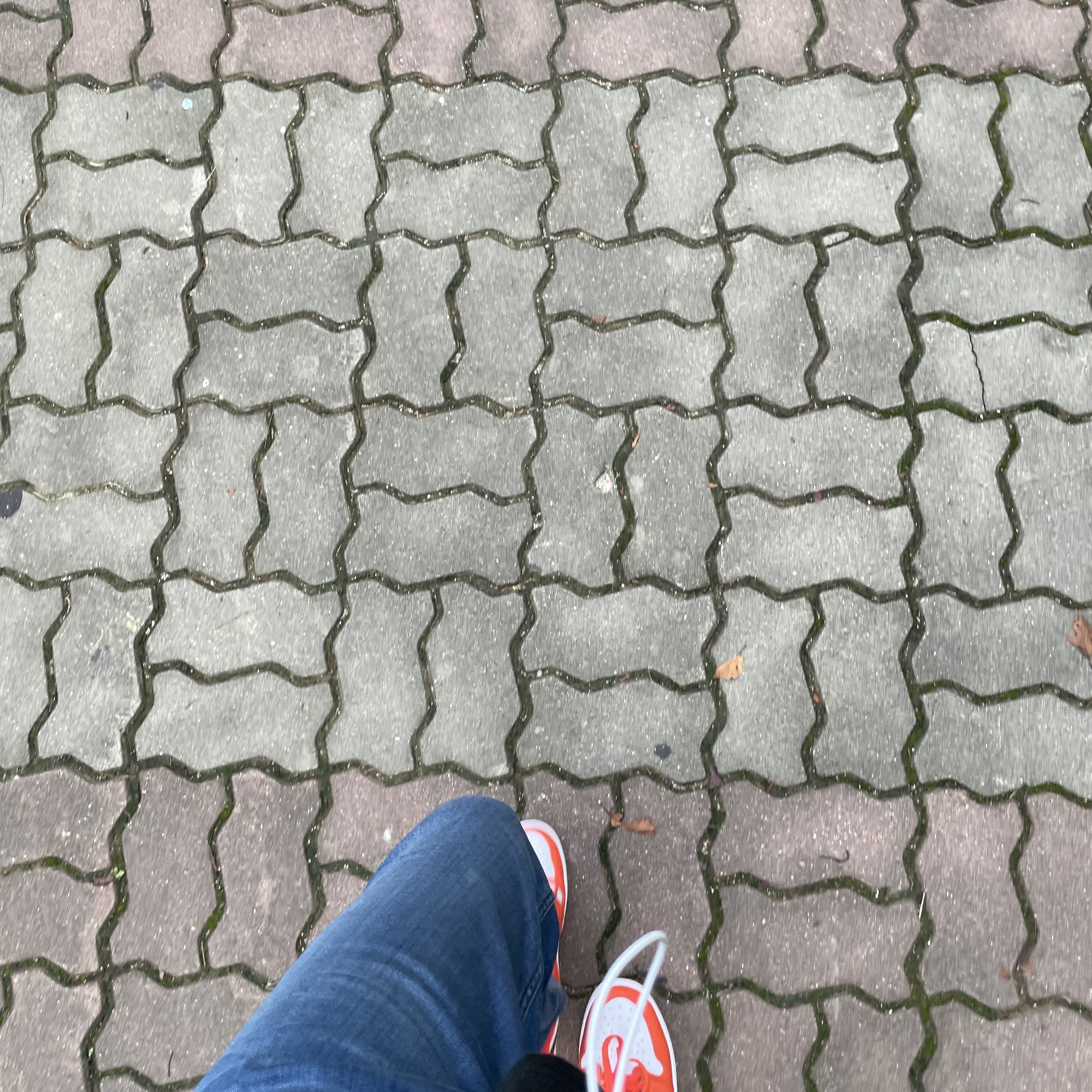 Jordan 1 Low OG Starfish 착용 스타일 - 1