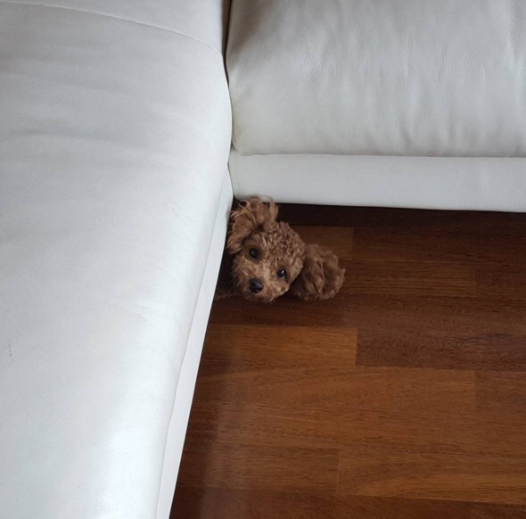 관심 유저 프로필 이미지