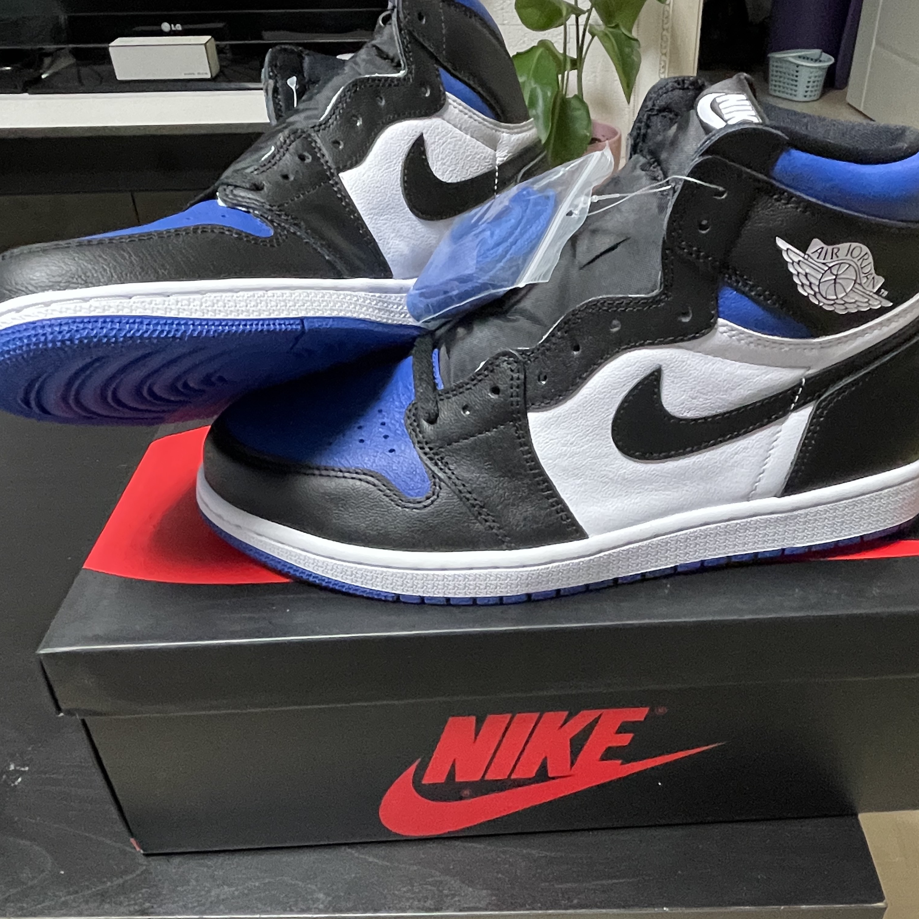 Jordan 1 Retro High OG Royal Toe 착용 스타일 - 1