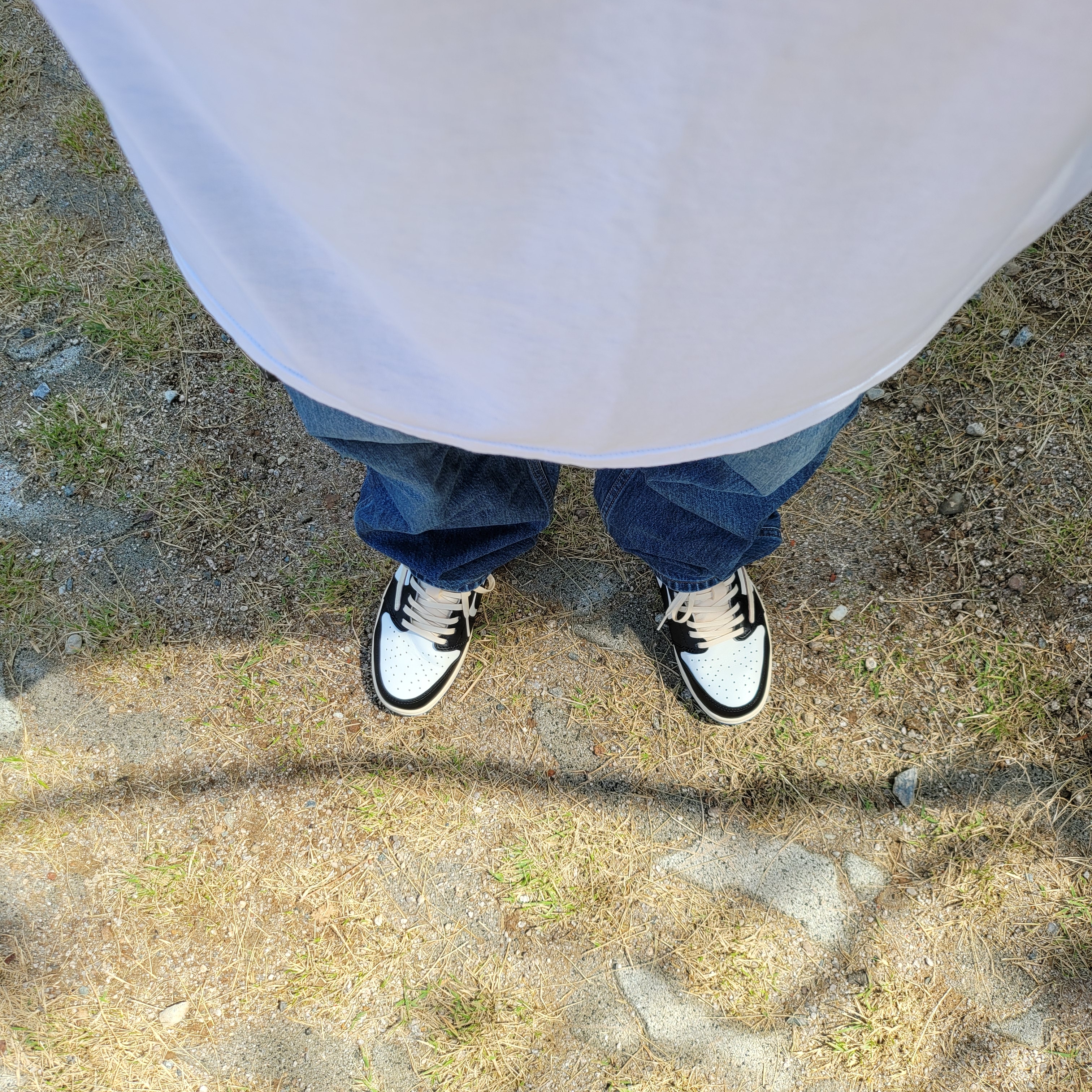 Jordan 1 x Travis Scott x Fragment Retro Low OG SP Military Blue 착용 스타일