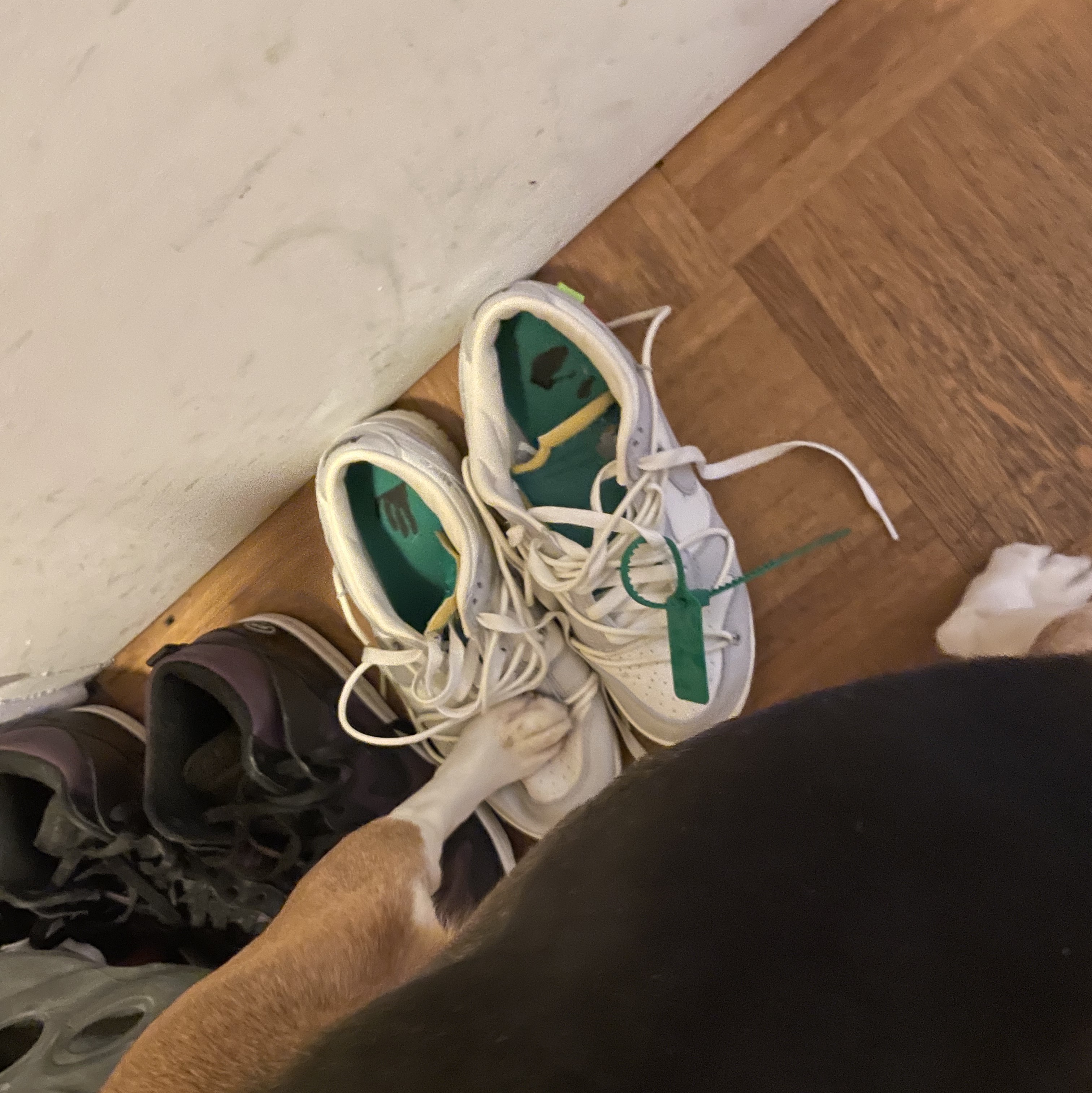 Nike x Off-White Dunk Low The 50 - Lot 46, Nike x Off-White Dunk Low The 50 - Lot 18 착용 스타일
