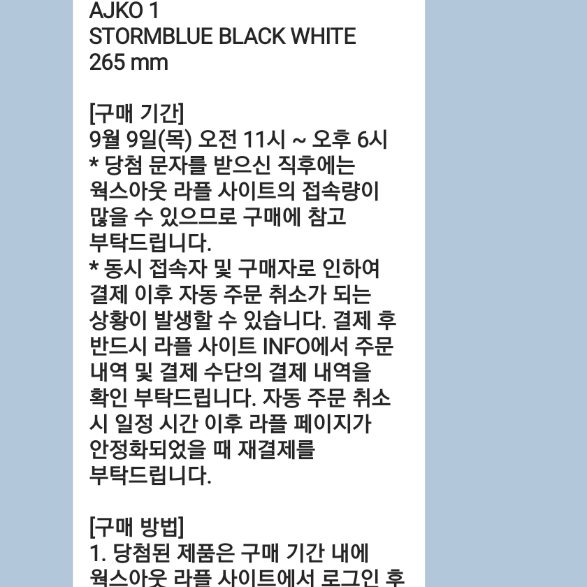 Jordan 1 KO Storm Blue 착용 스타일 - 1