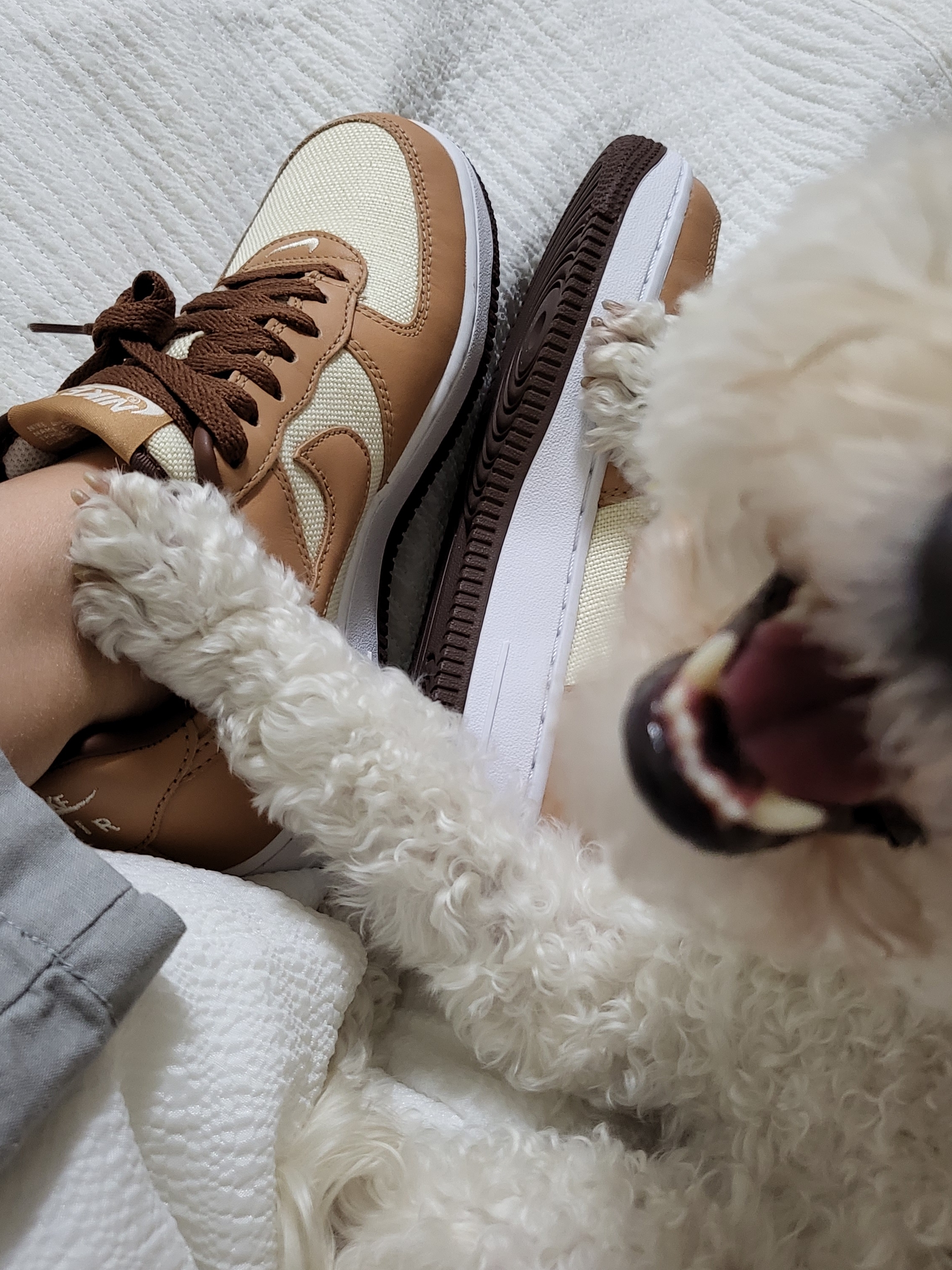 Nike Air Force 1 Low QS Acorn 2021 착용 스타일 - 4