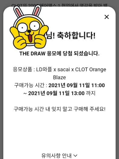 스타일 카드
