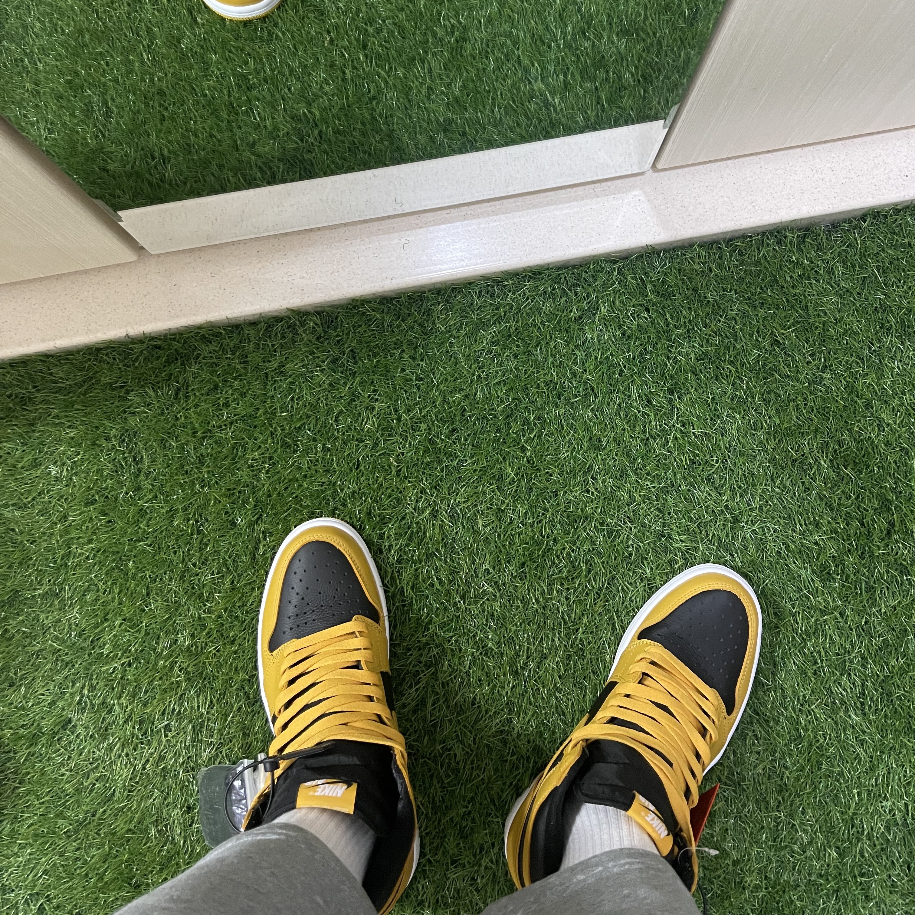 Jordan 1 Retro High OG Pollen 착용 스타일 - 1