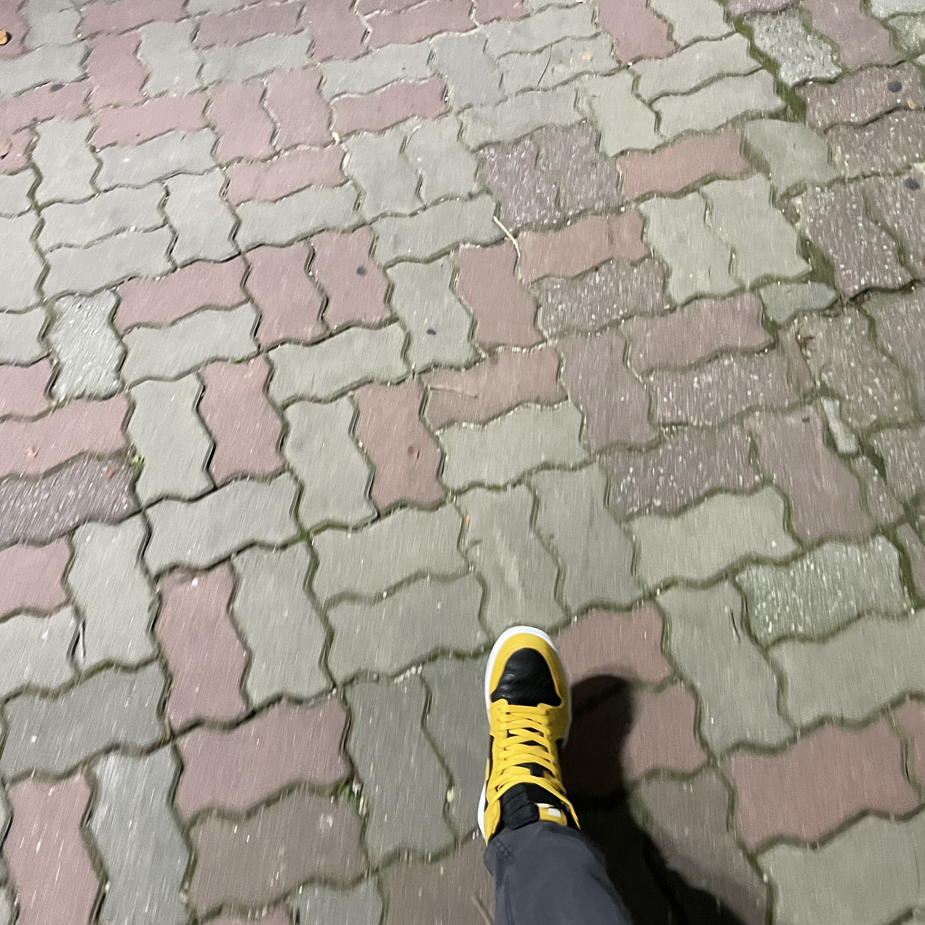 Jordan 1 Retro High OG Pollen 착용 스타일 - 2