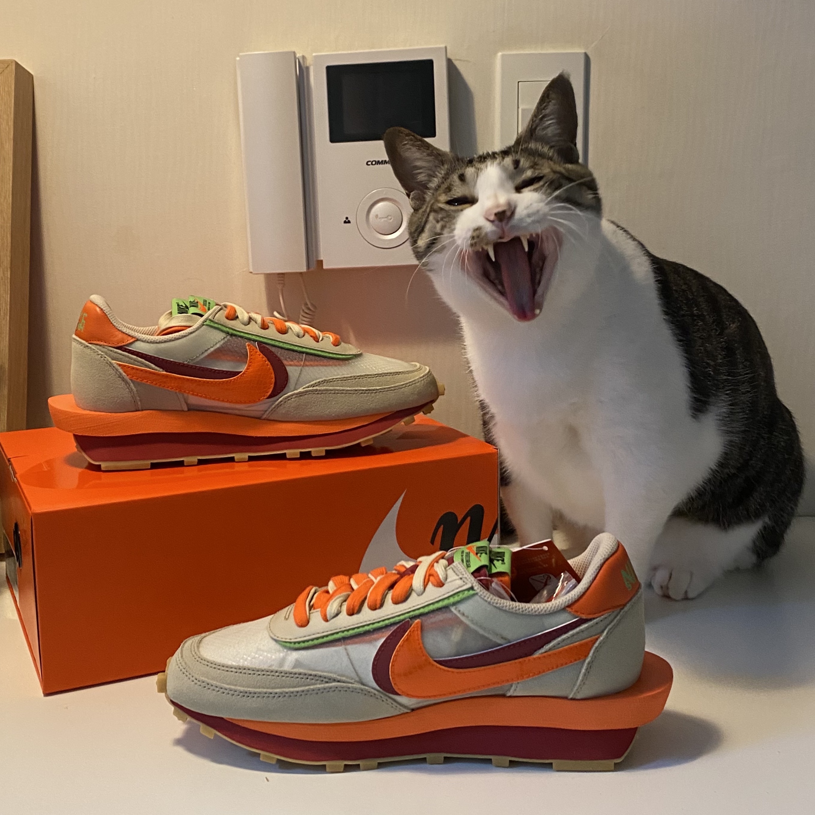 Nike x Sacai x Clot LDWaffle Orange Blaze 착용 스타일 - 1