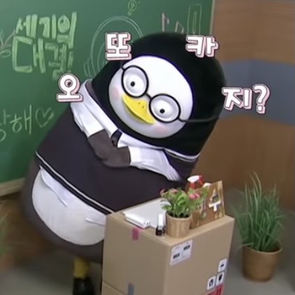 dfleekm님의 스타일