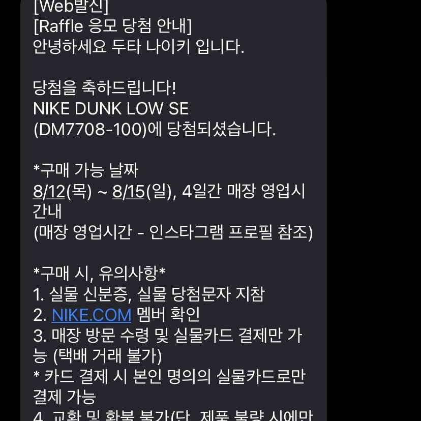 Nike Dunk Low SE Seoul 착용 스타일 - 1
