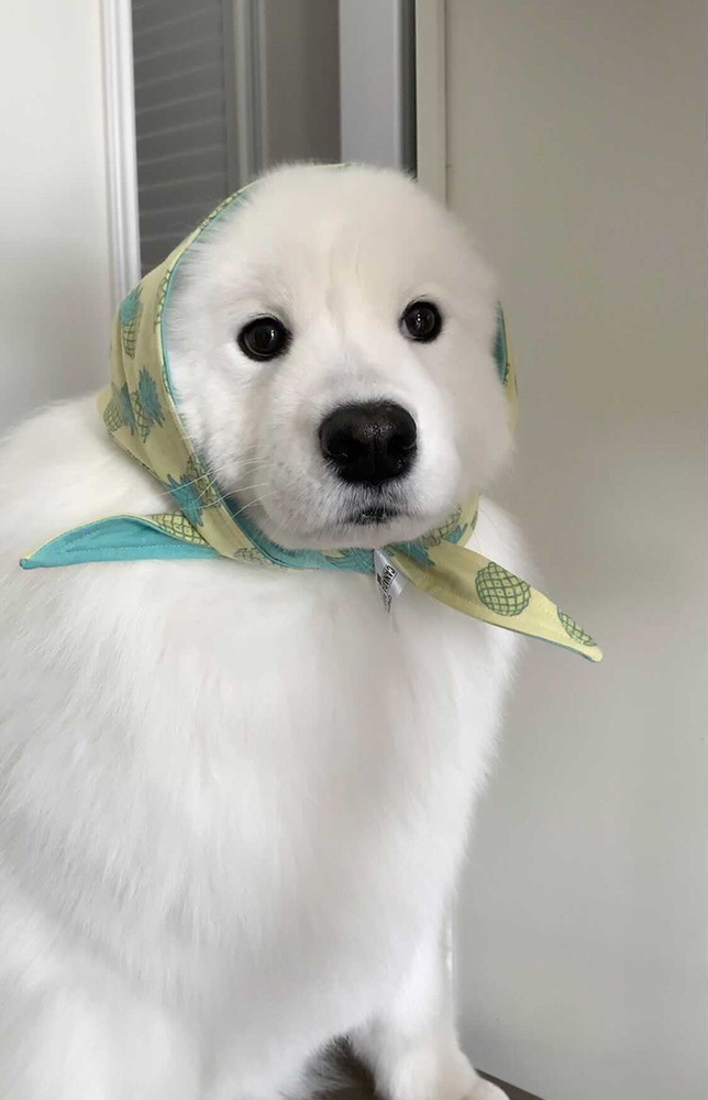 KREAM 프로필 이미지