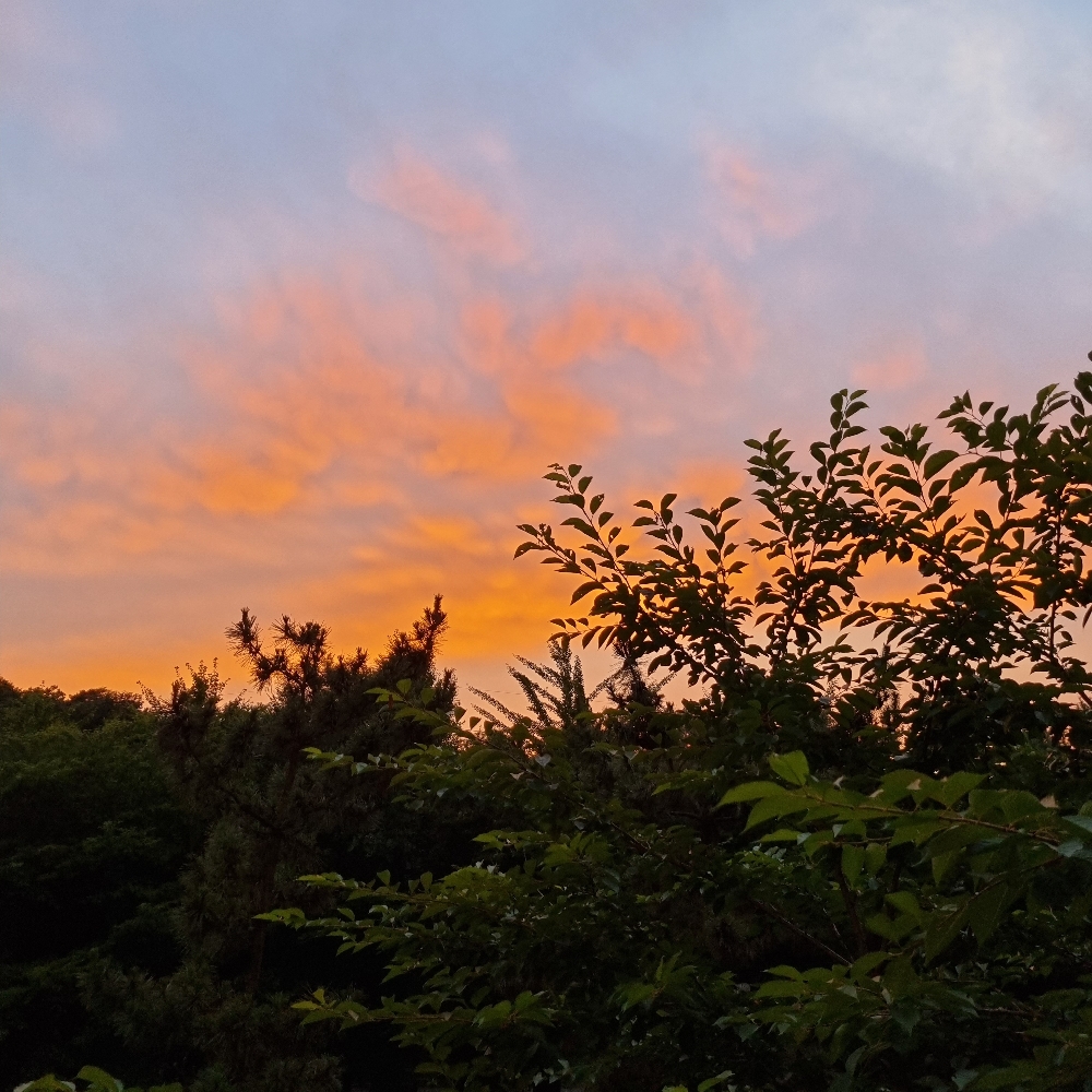 관심 유저 프로필 이미지