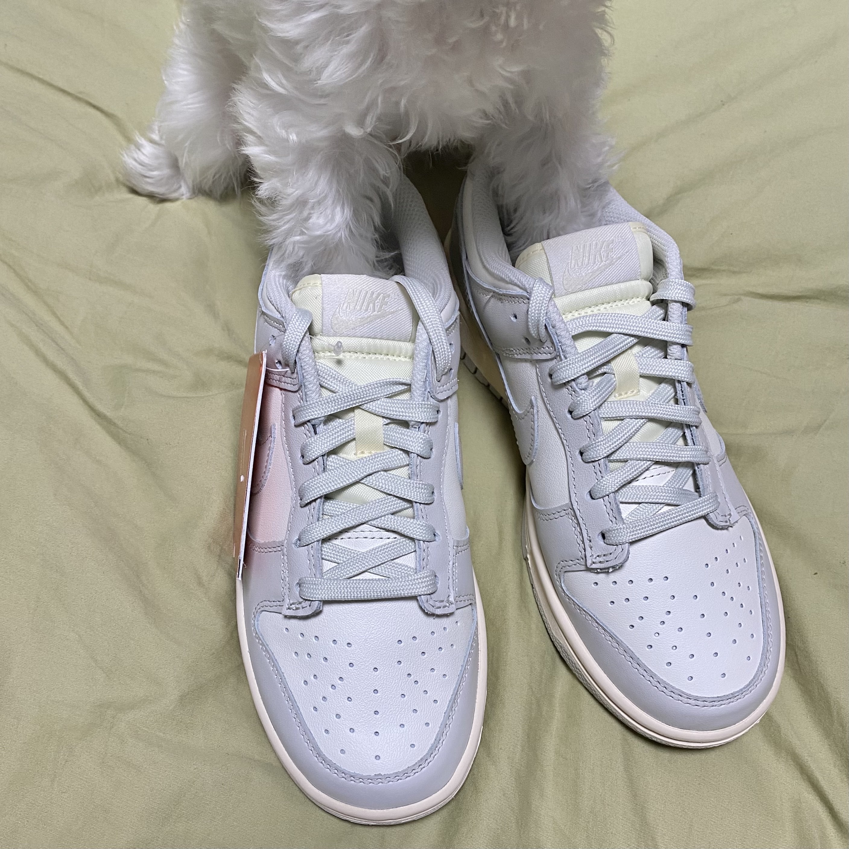 (W) Nike Dunk Low Light Bone 착용 스타일 - 2