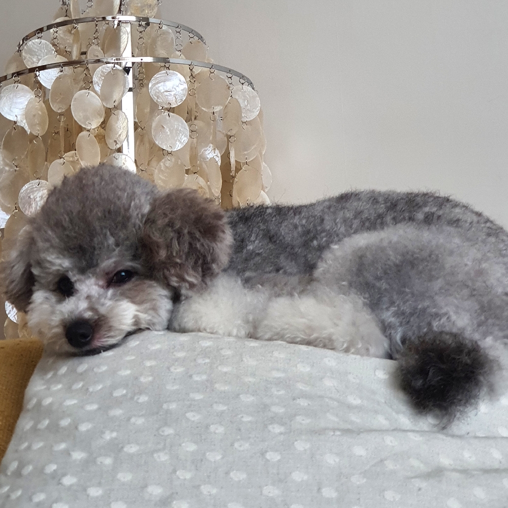 관심 유저 프로필 이미지