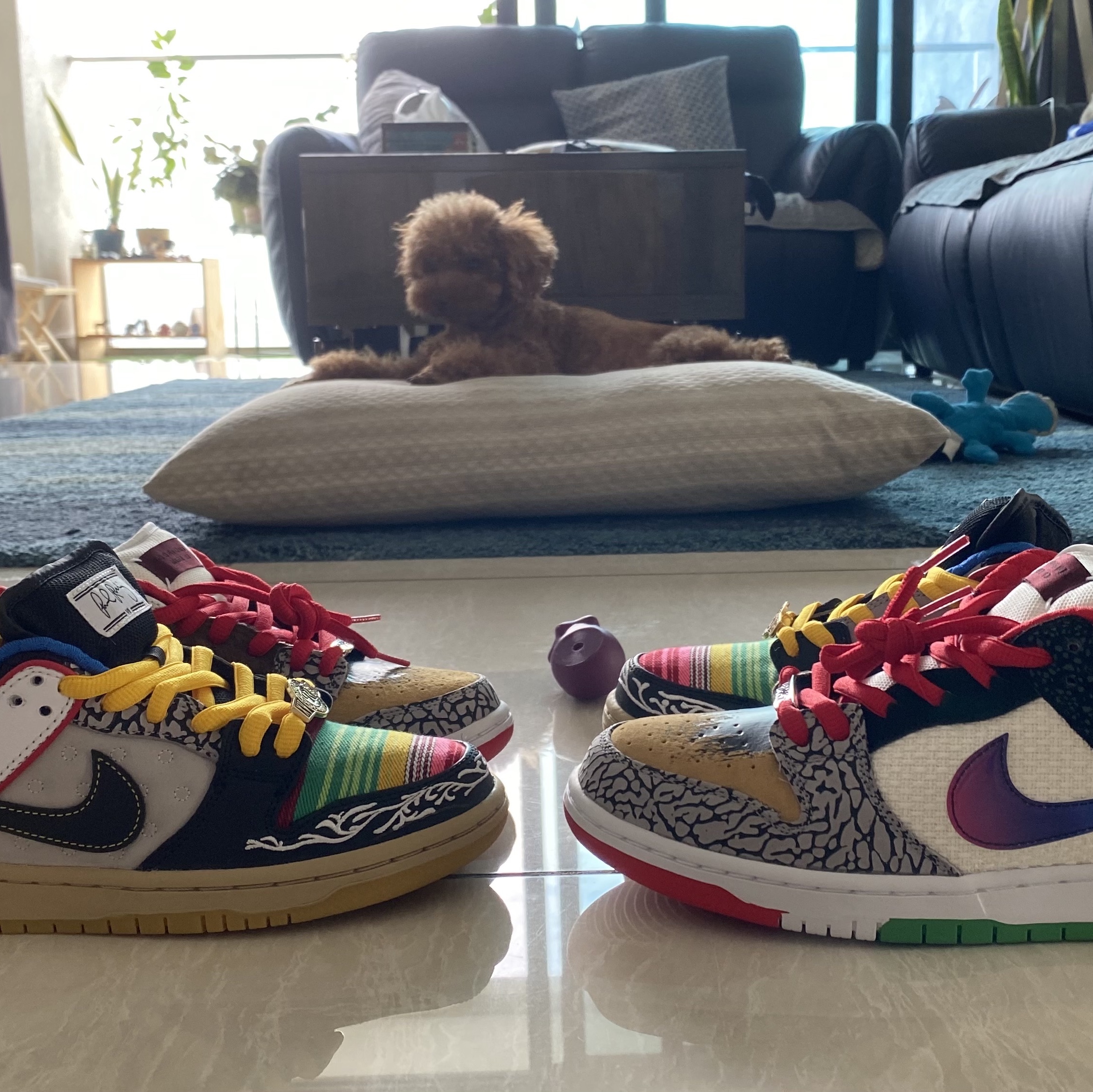 Nike SB Dunk Low What The Paul 착용 스타일