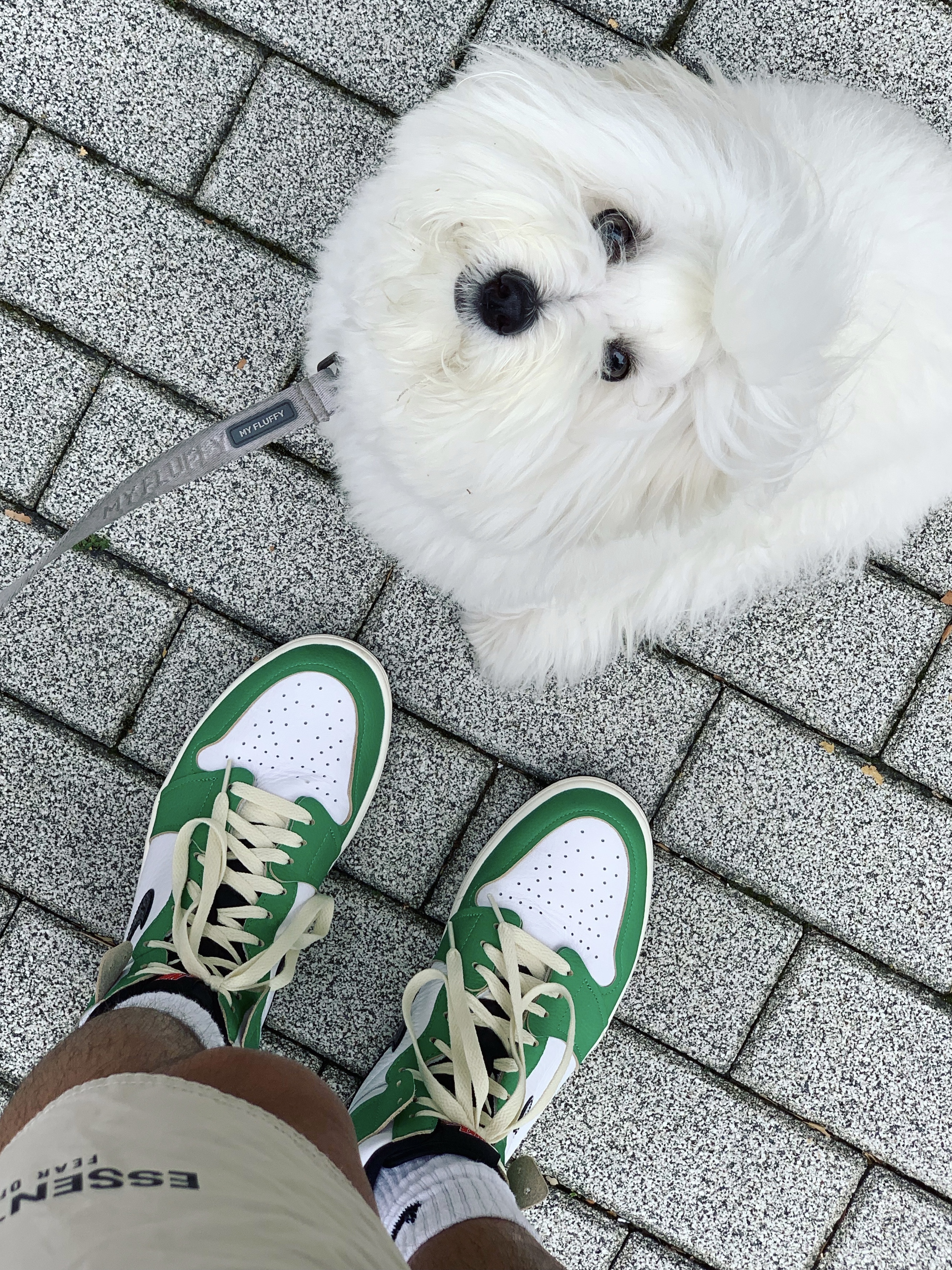(W) Jordan 1 Retro High OG Lucky Green 착용 스타일