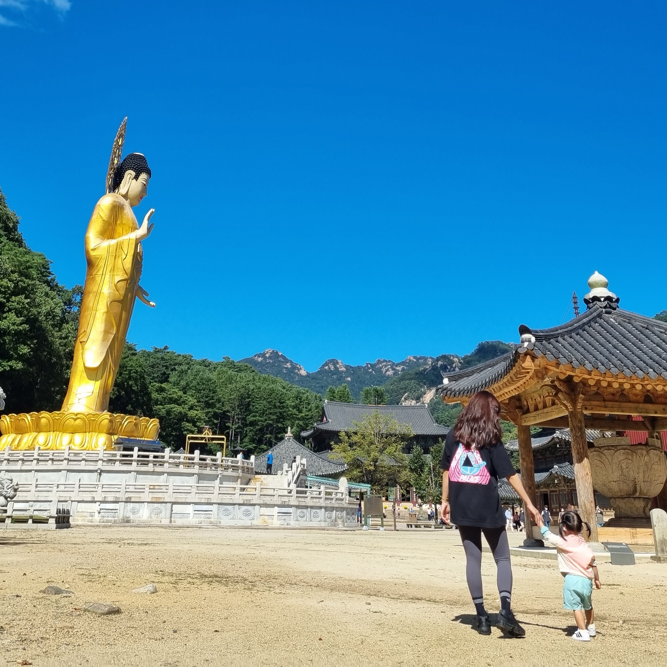 (W) New Balance 993 Made in USA Grey - B Standard, Palace Tri-Zooted Shakka T-Shirt Black - 20FW 착용 스타일 - 2