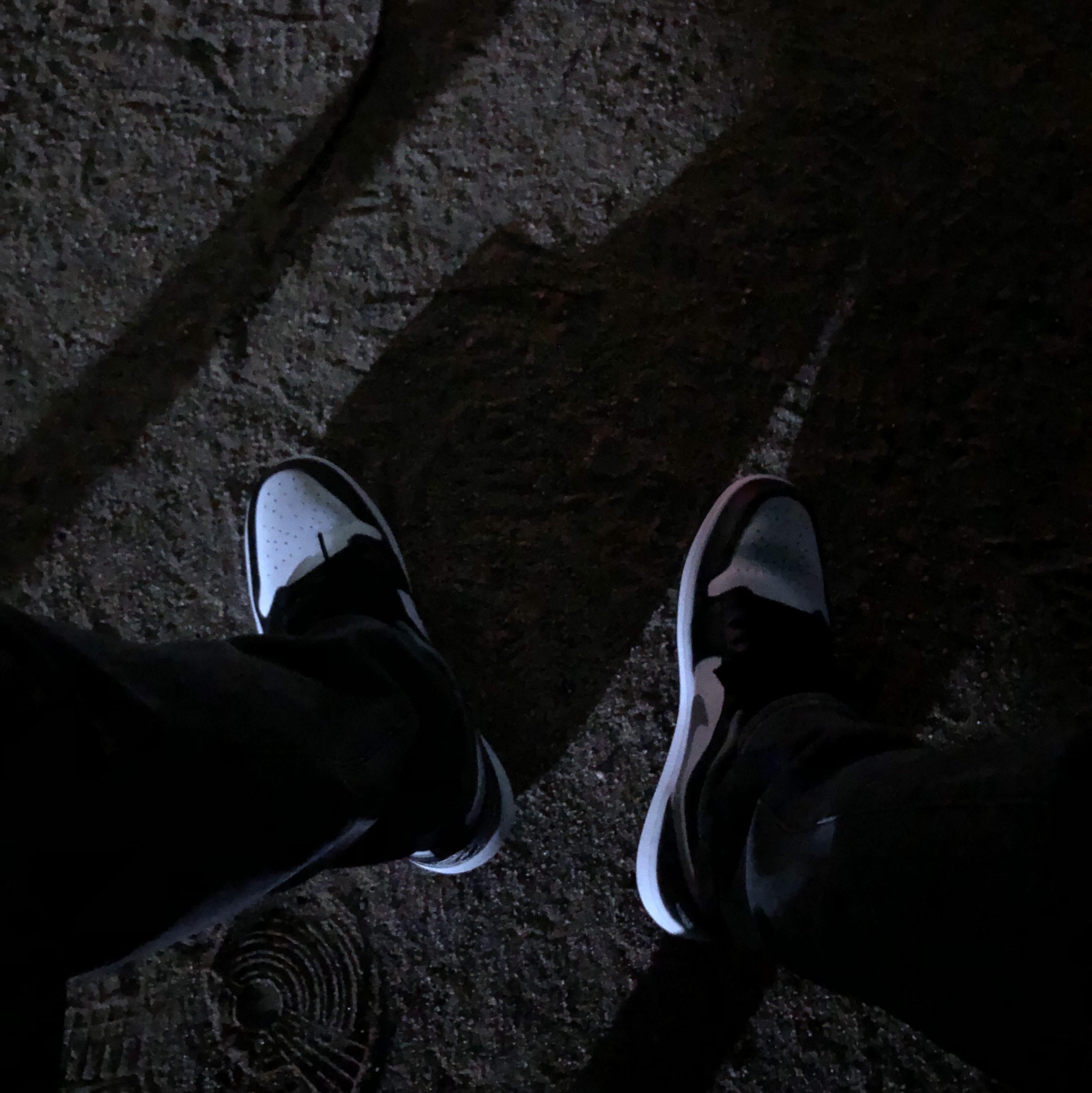 Jordan 1 Low Black Particle Grey 착용 스타일