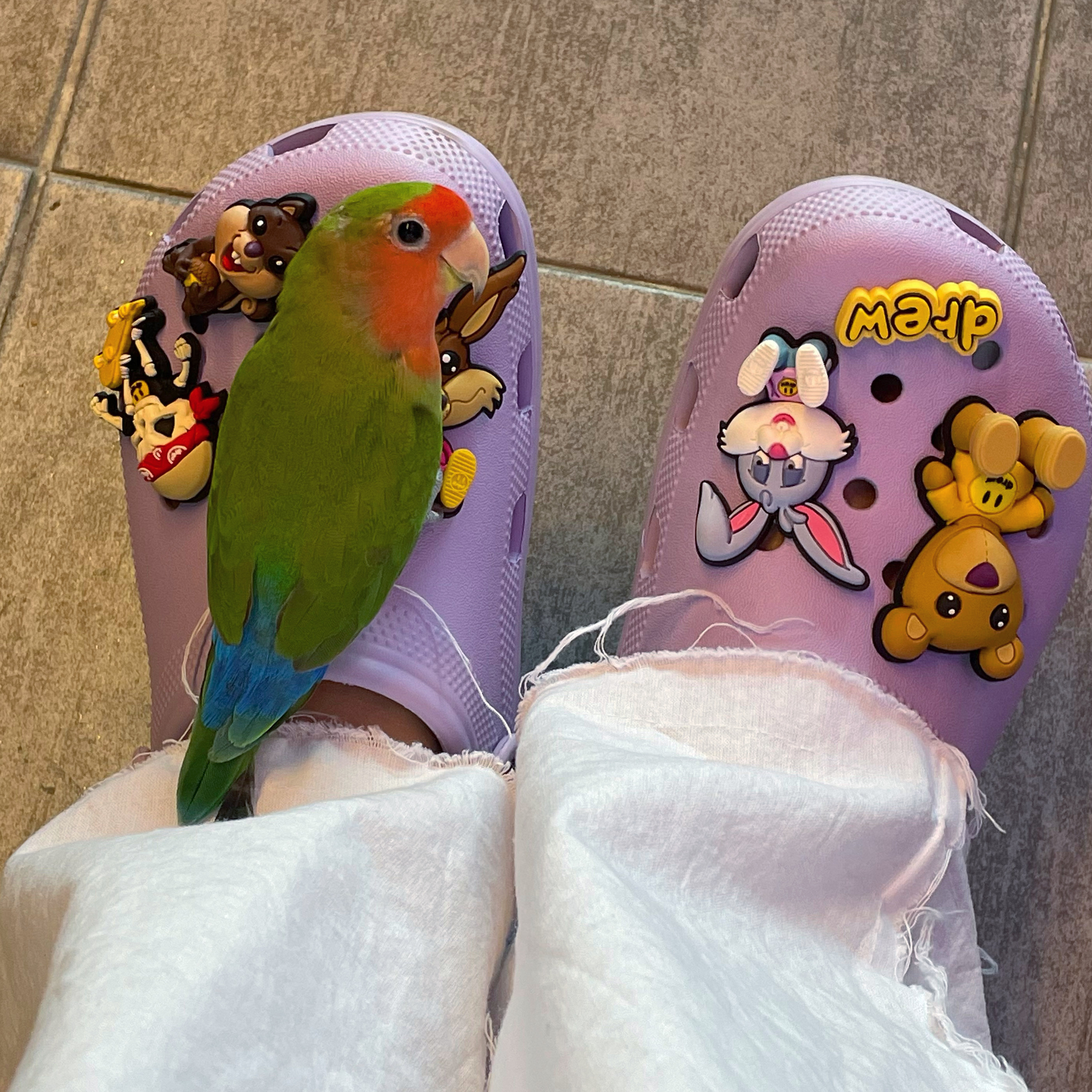Crocs x Justin Bieber x Drew Classic Clog Lavender 착용 스타일 - 1