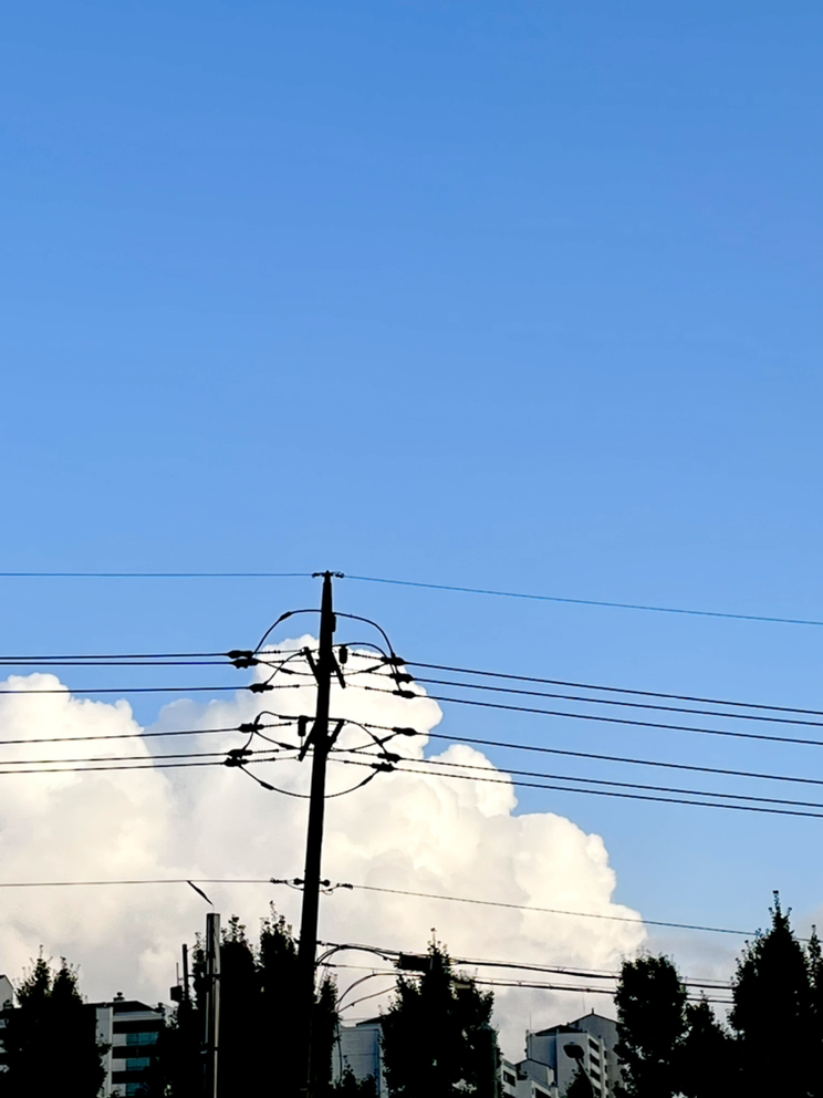 관심 유저 프로필 이미지