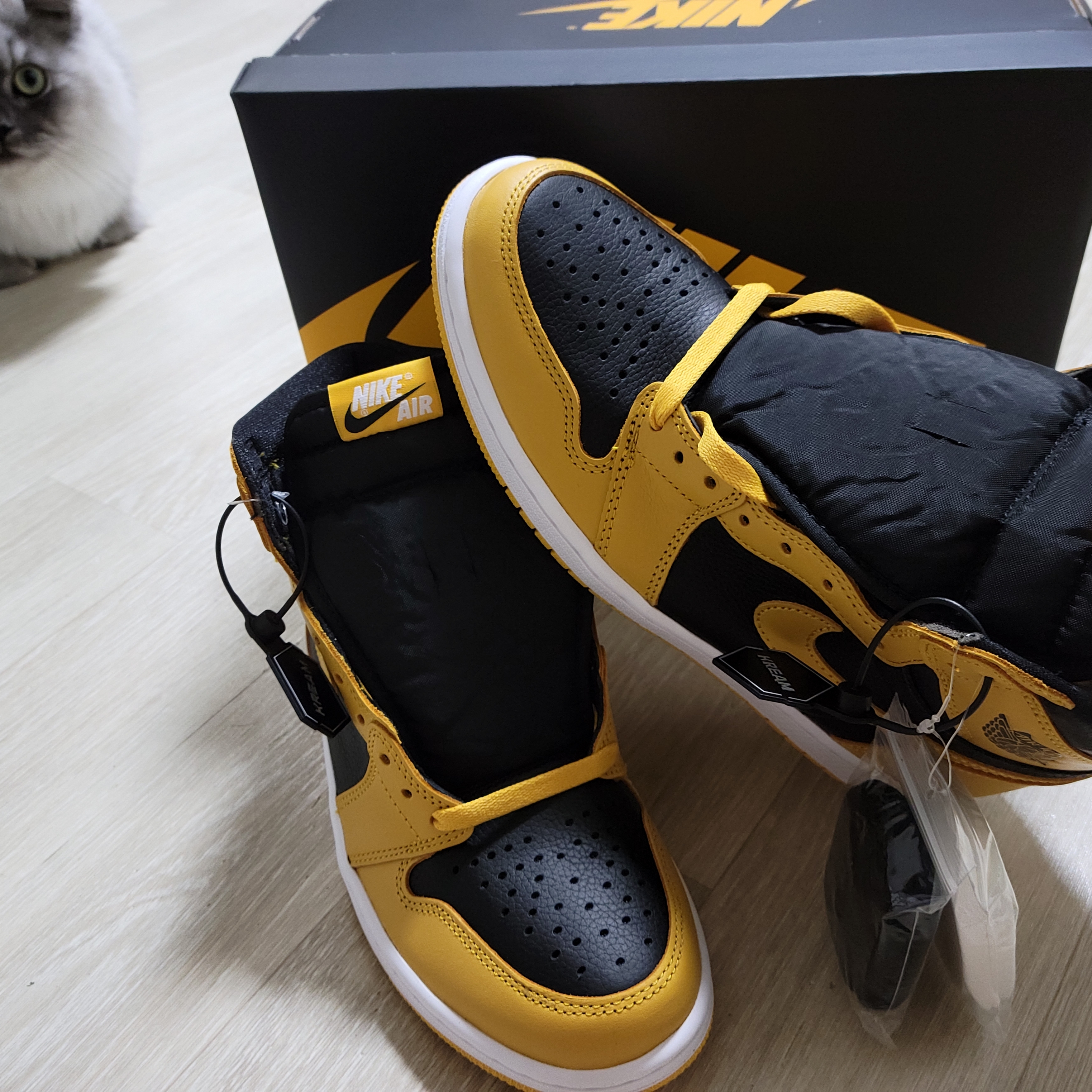 Jordan 1 Retro High OG Pollen 착용 스타일 - 4