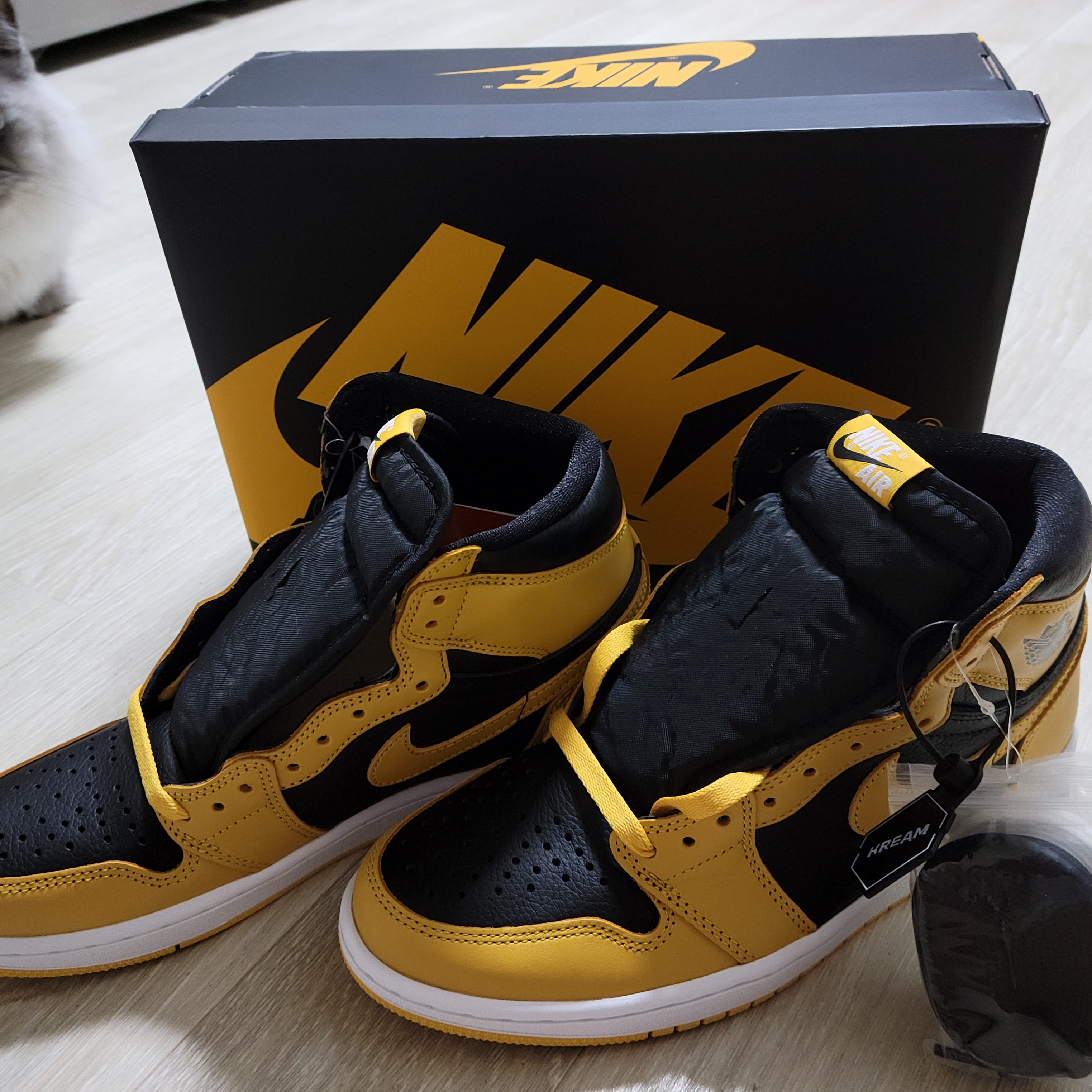 Jordan 1 Retro High OG Pollen 착용 스타일 - 3