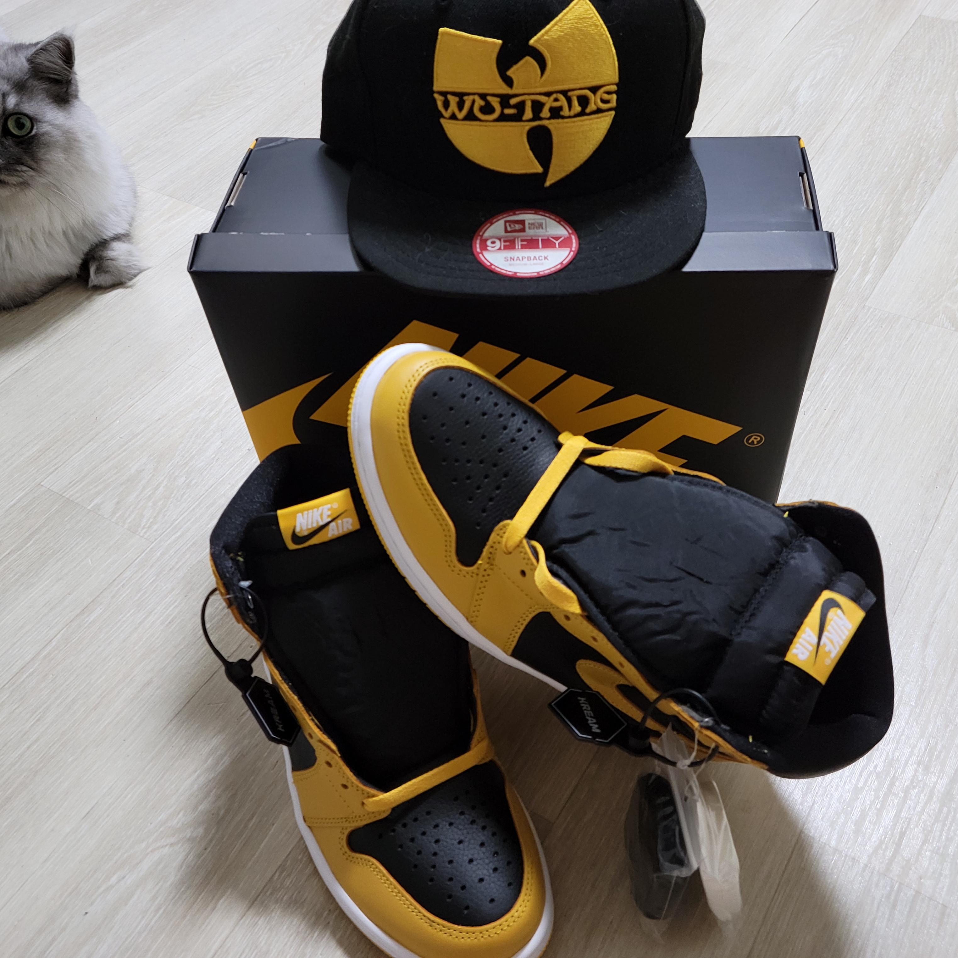 Jordan 1 Retro High OG Pollen 착용 스타일 - 5