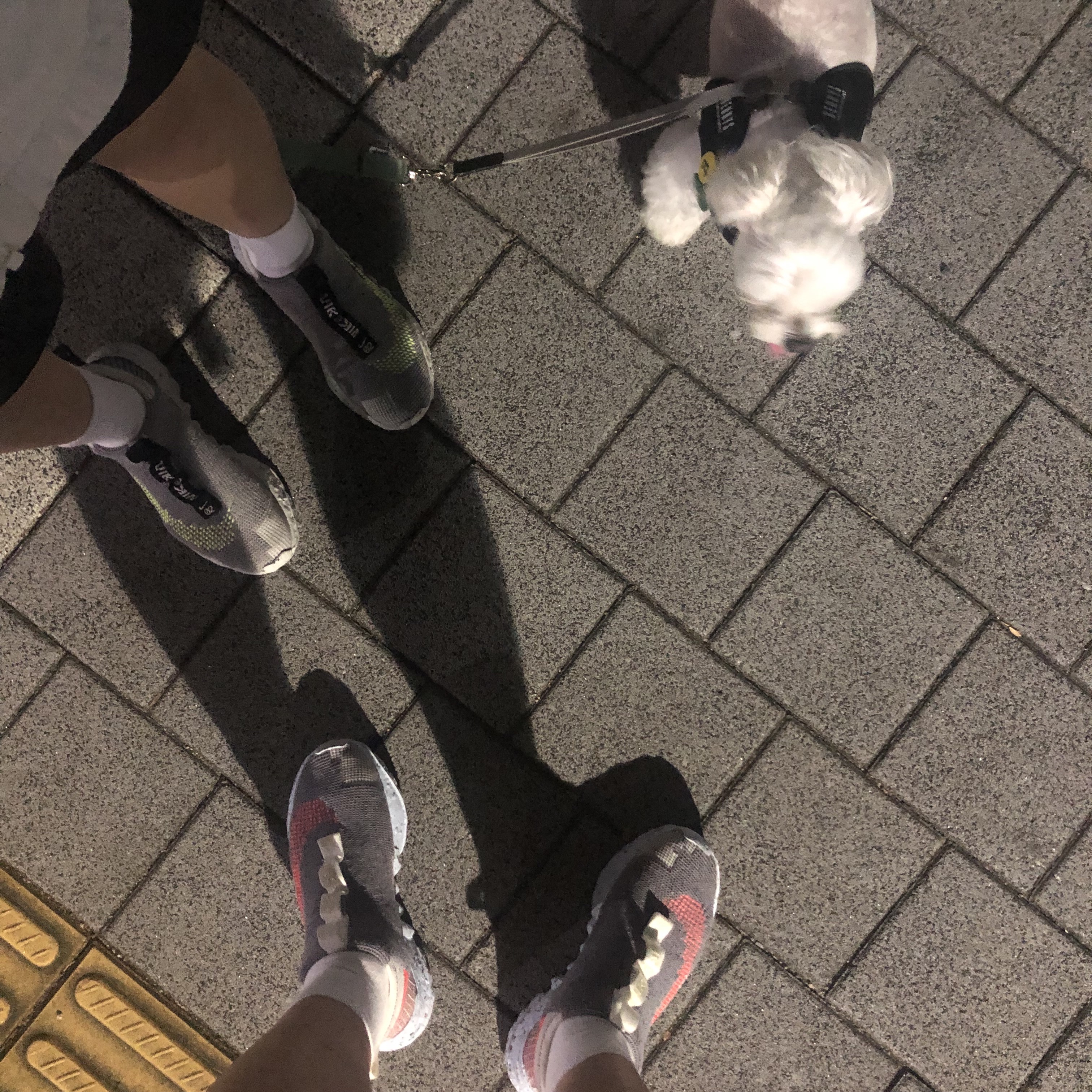Nike Space Hippie 02 Vast Grey Hyper Crimson, Nike Space Hippie 02 Volt 착용 스타일