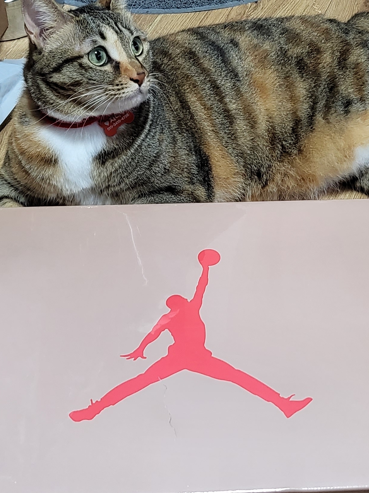 Jordan 6 x Travis Scott Retro SP British Khaki 착용 스타일 - 3