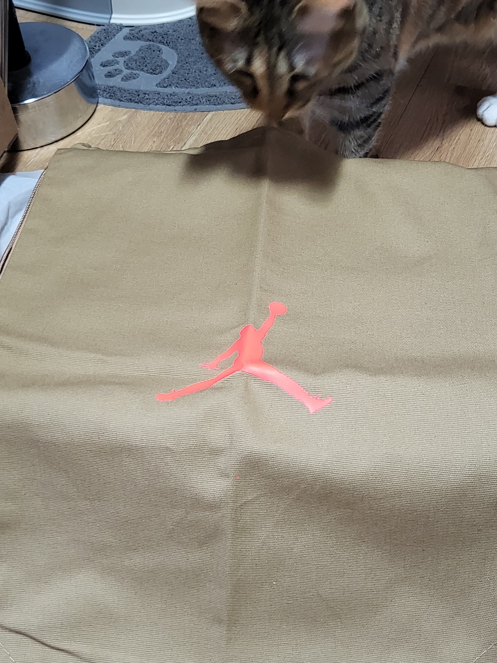 Jordan 6 x Travis Scott Retro SP British Khaki 착용 스타일 - 2