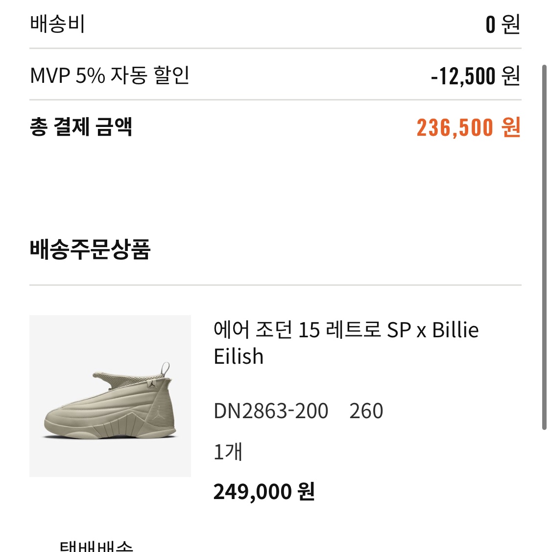 (W) Jordan 15 x Billie Eilish Retro SP Beige 착용 스타일 - 2
