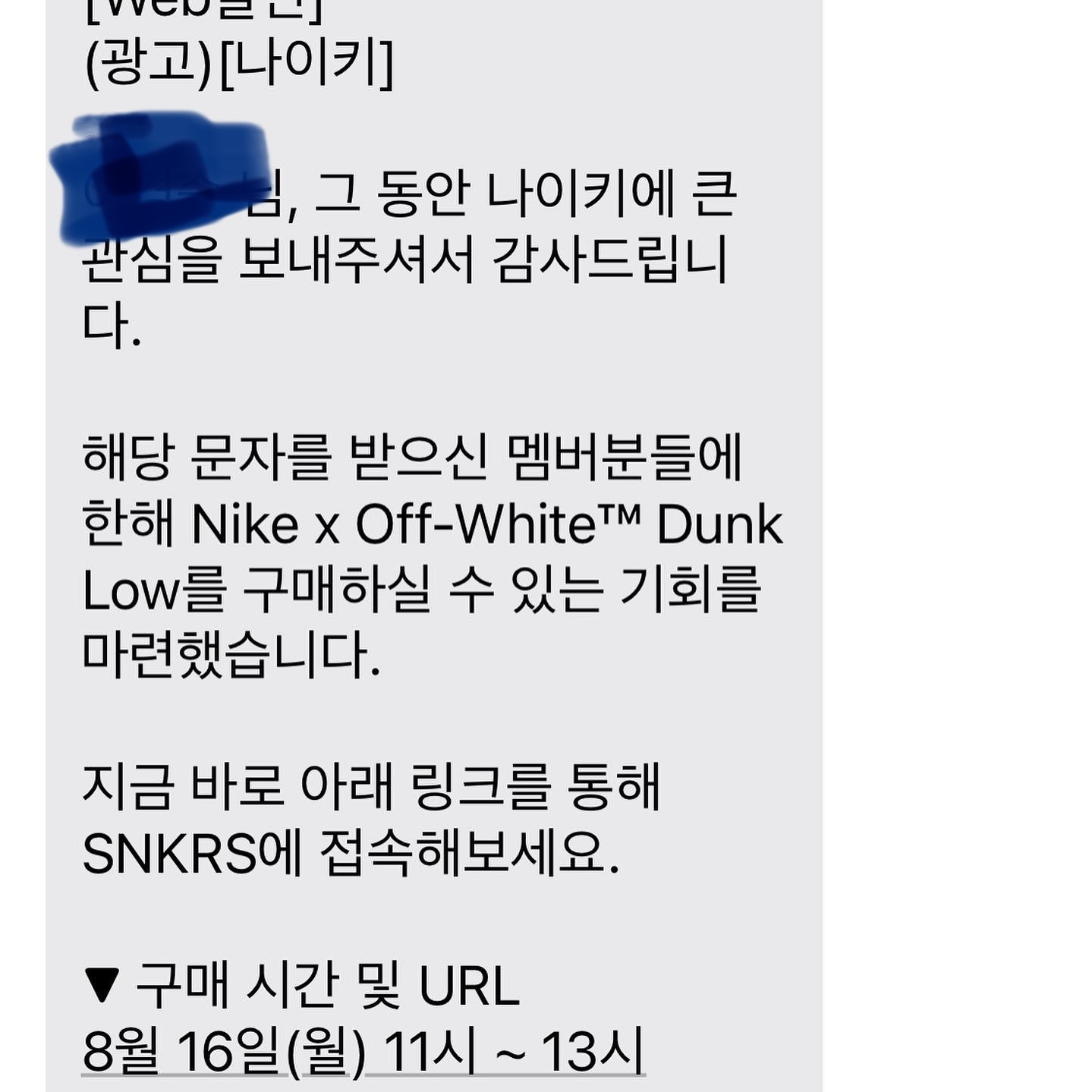 Nike x Off-White Dunk Low The 50 - Lot 46 착용 스타일 - 2