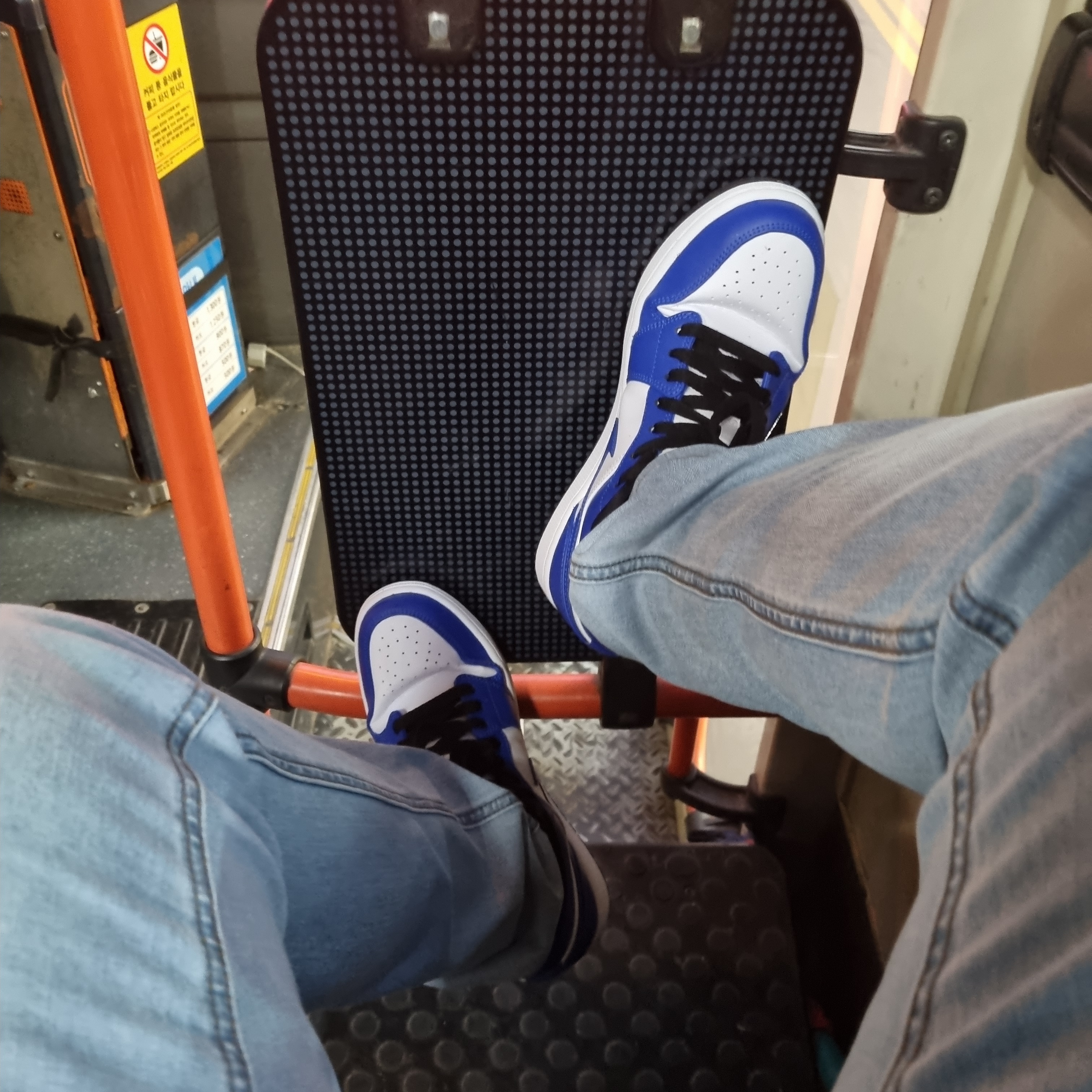 Jordan 1 Low Hyper Royal 착용 스타일