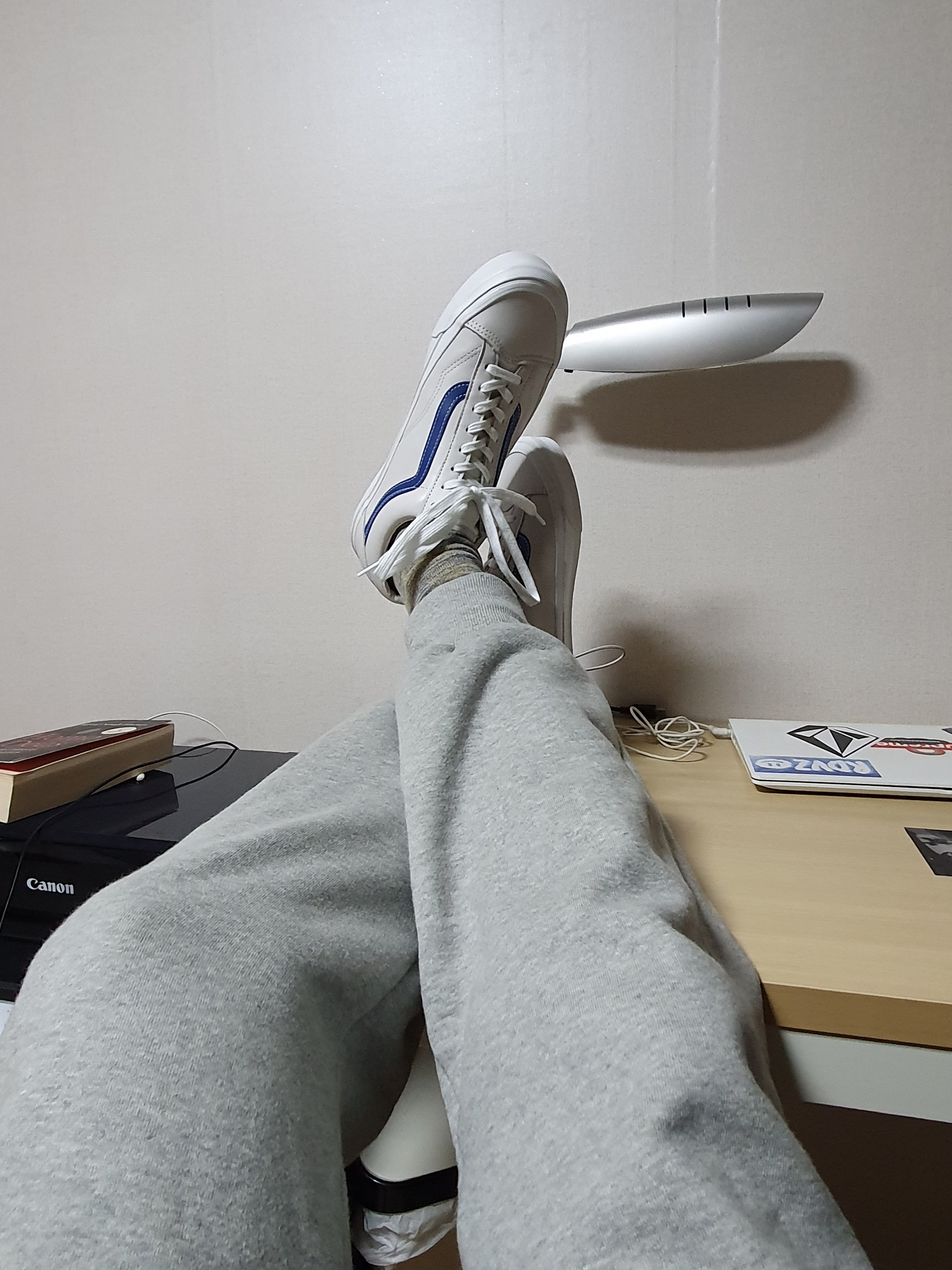 Vans Vault OG Style 36 LX Blue 착용 스타일